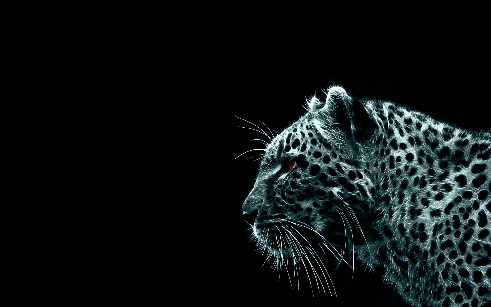animal, cats, leopard