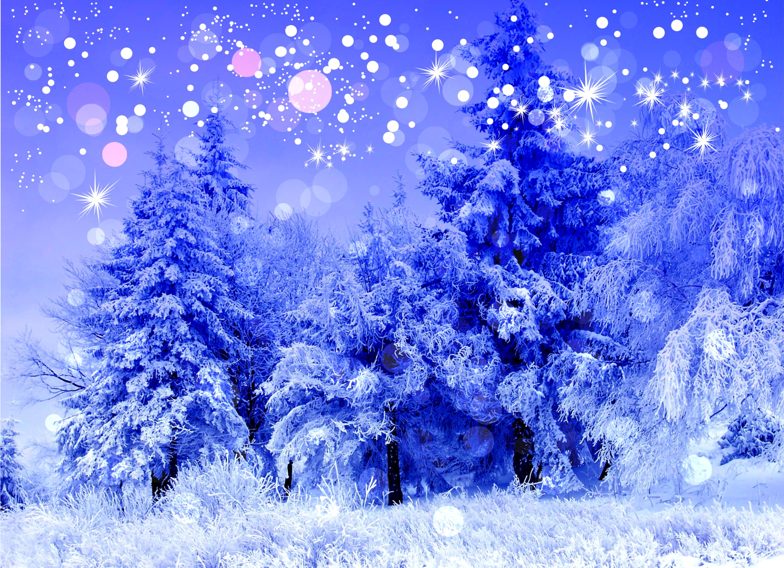 Зимняя открытка картинки. В новогоднем лесу. Сказочный зимний лес. Зимний фон. Зимняя сказка.