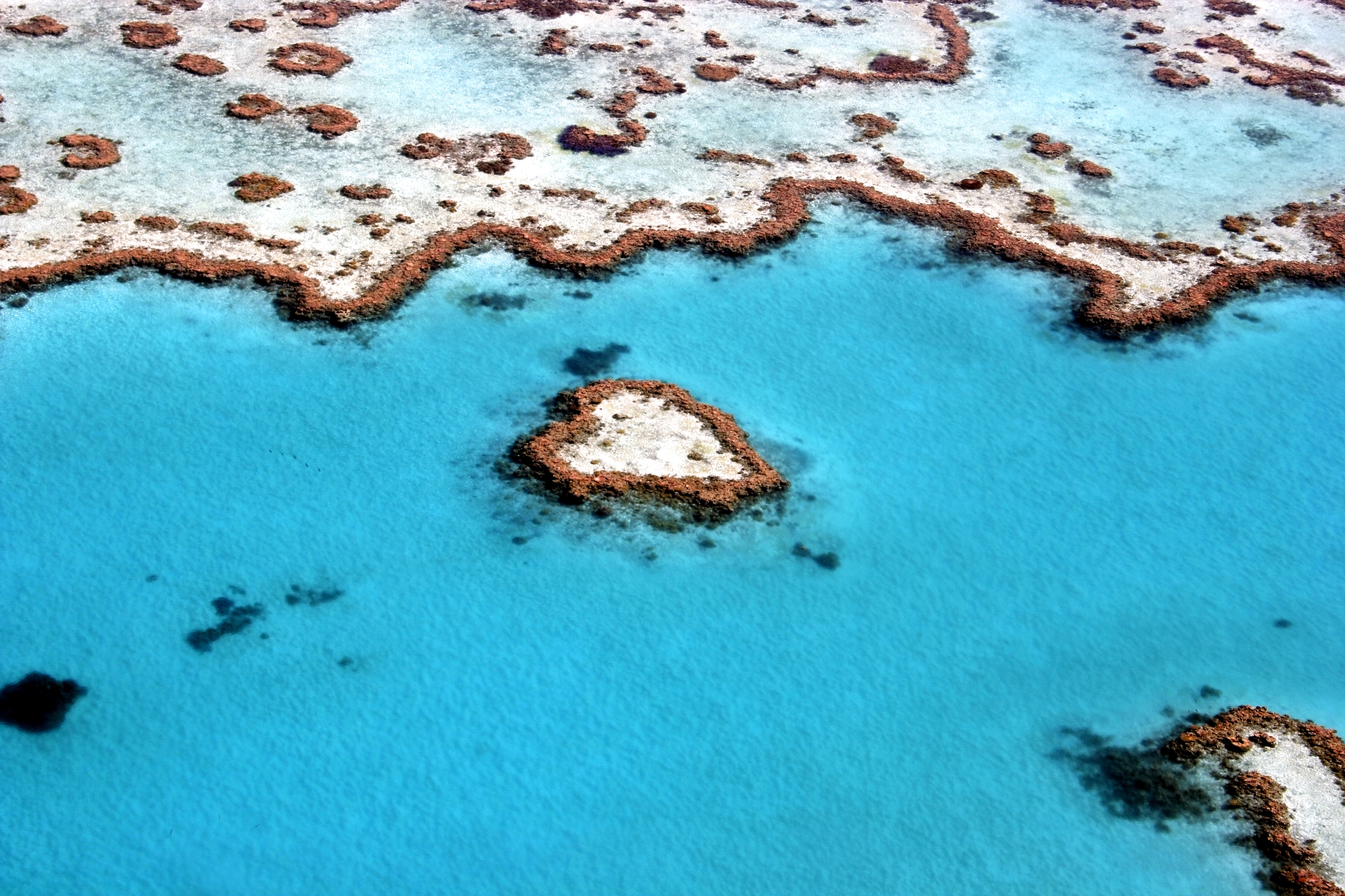 603905 descargar imagen tierra/naturaleza, gran barrera de coral, arrecife: fondos de pantalla y protectores de pantalla gratis