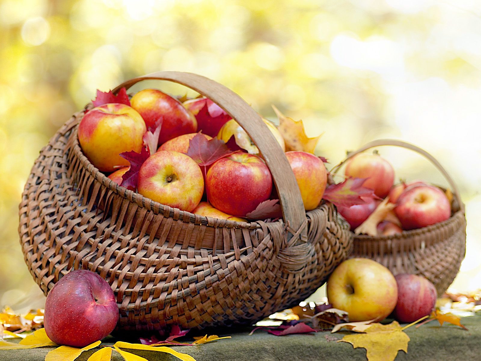 Яблоки в корзинке осень