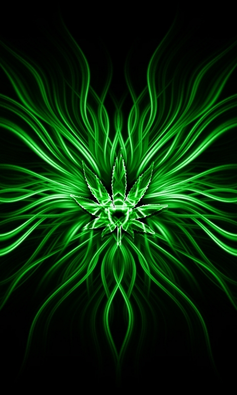 1195306 free download Green wallpapers for phone,  Green images and screensavers for mobile
