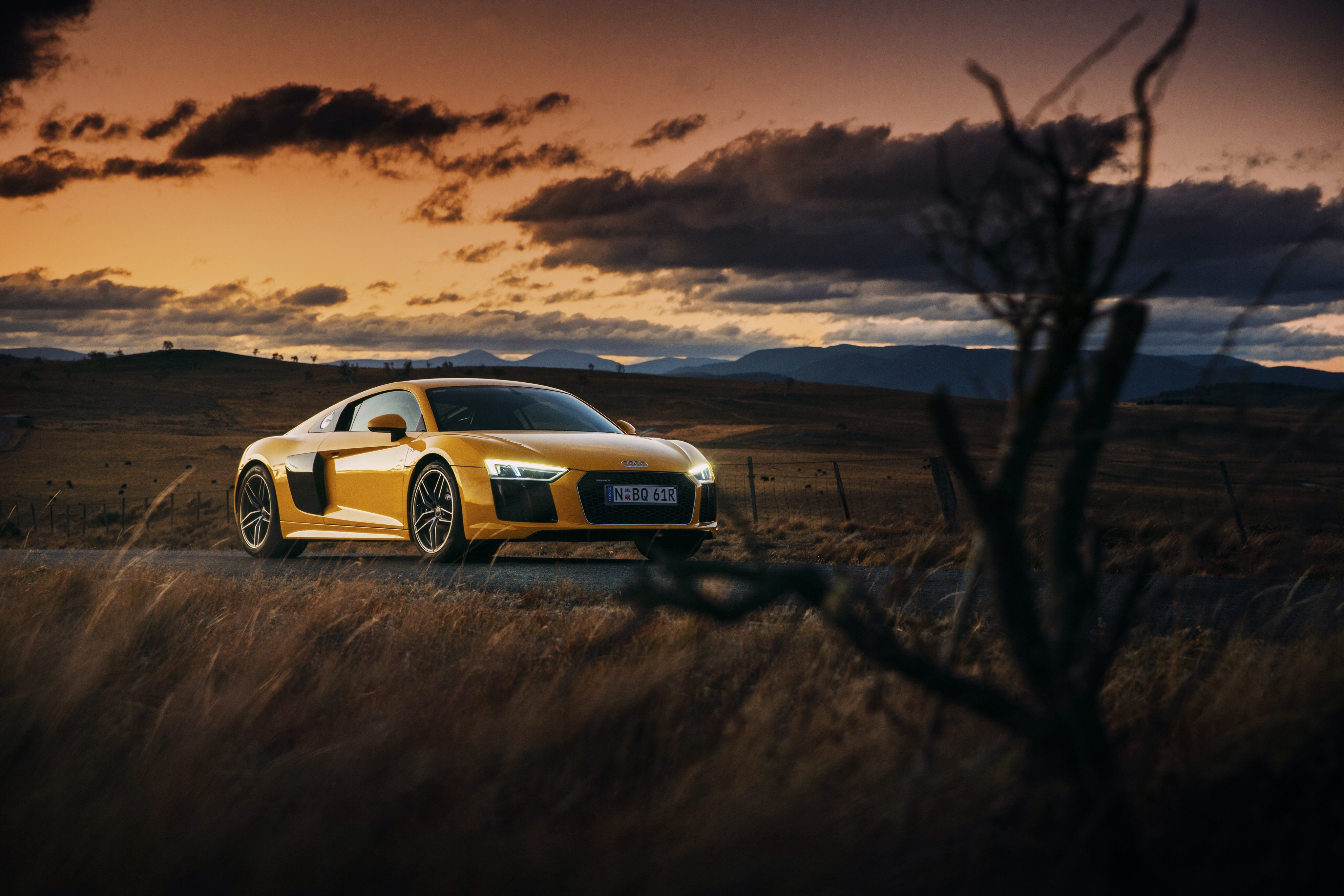 Audi r8 v10 желтая