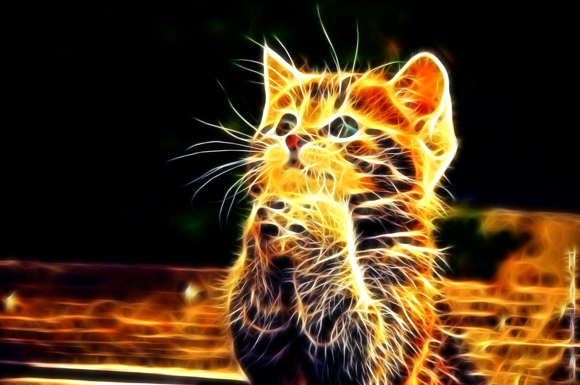 Download mobile wallpaper Nice, Fluffy, Kitty, Sweetheart, Paws, Kitten, Abstract for free.