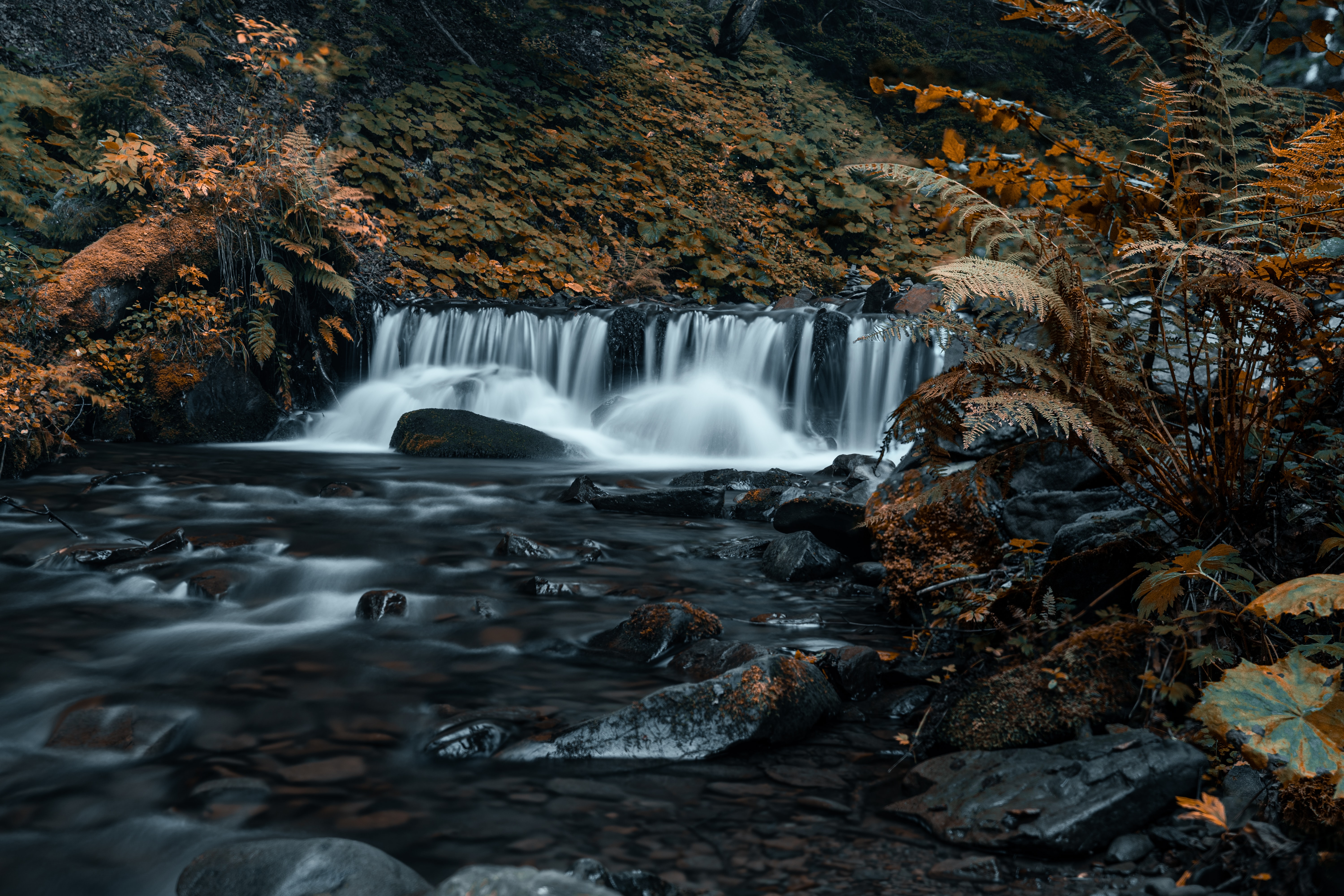 Free HD flow, nature, grass, stones, rocks, waterfall, stream