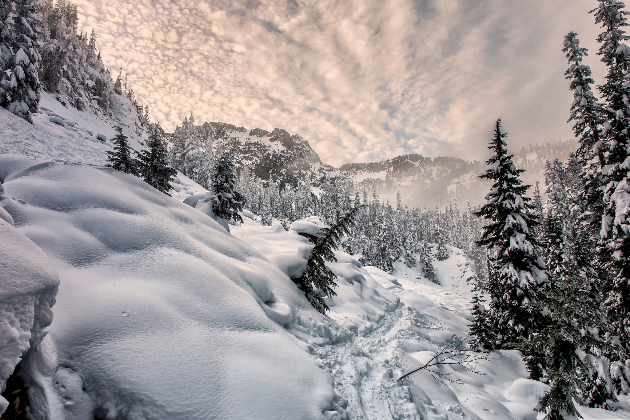 Природа в горах зимой
