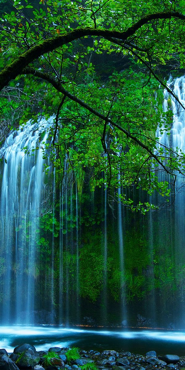 Видео на телефон природа. Природа. Природа водопад. Вода в природе. Заставки на телефон природа.