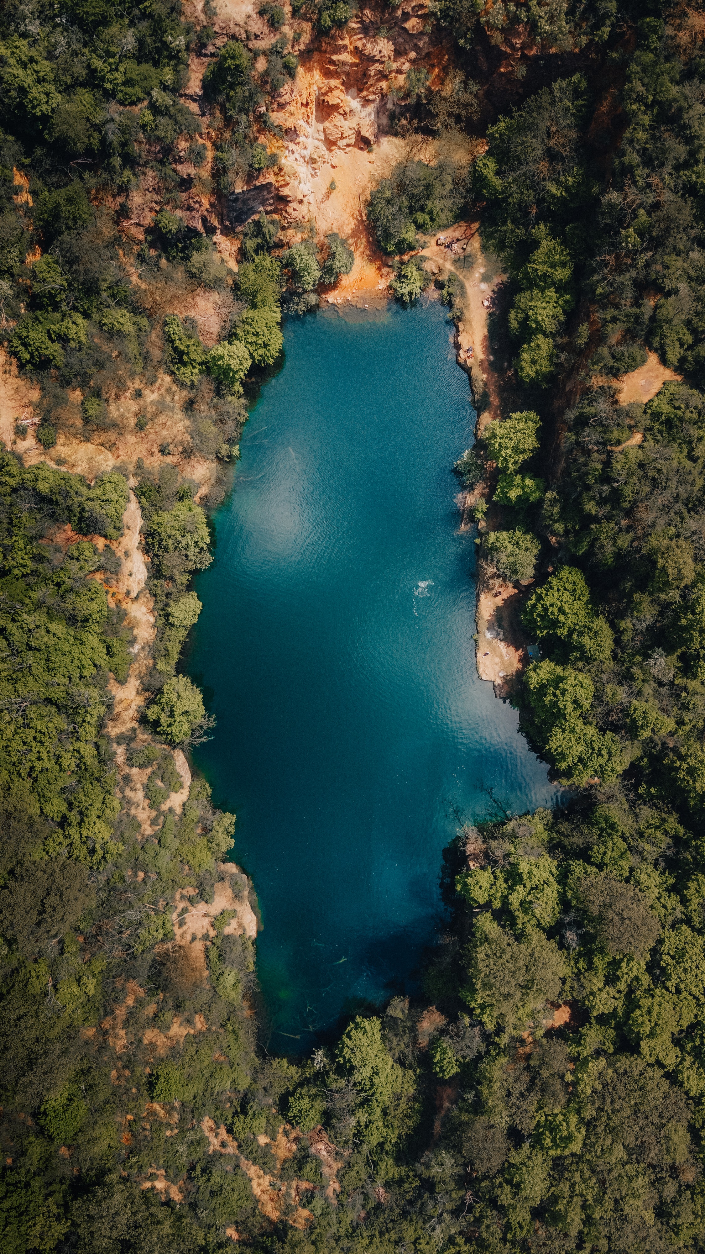 forest, lake, nature, trees, view from above