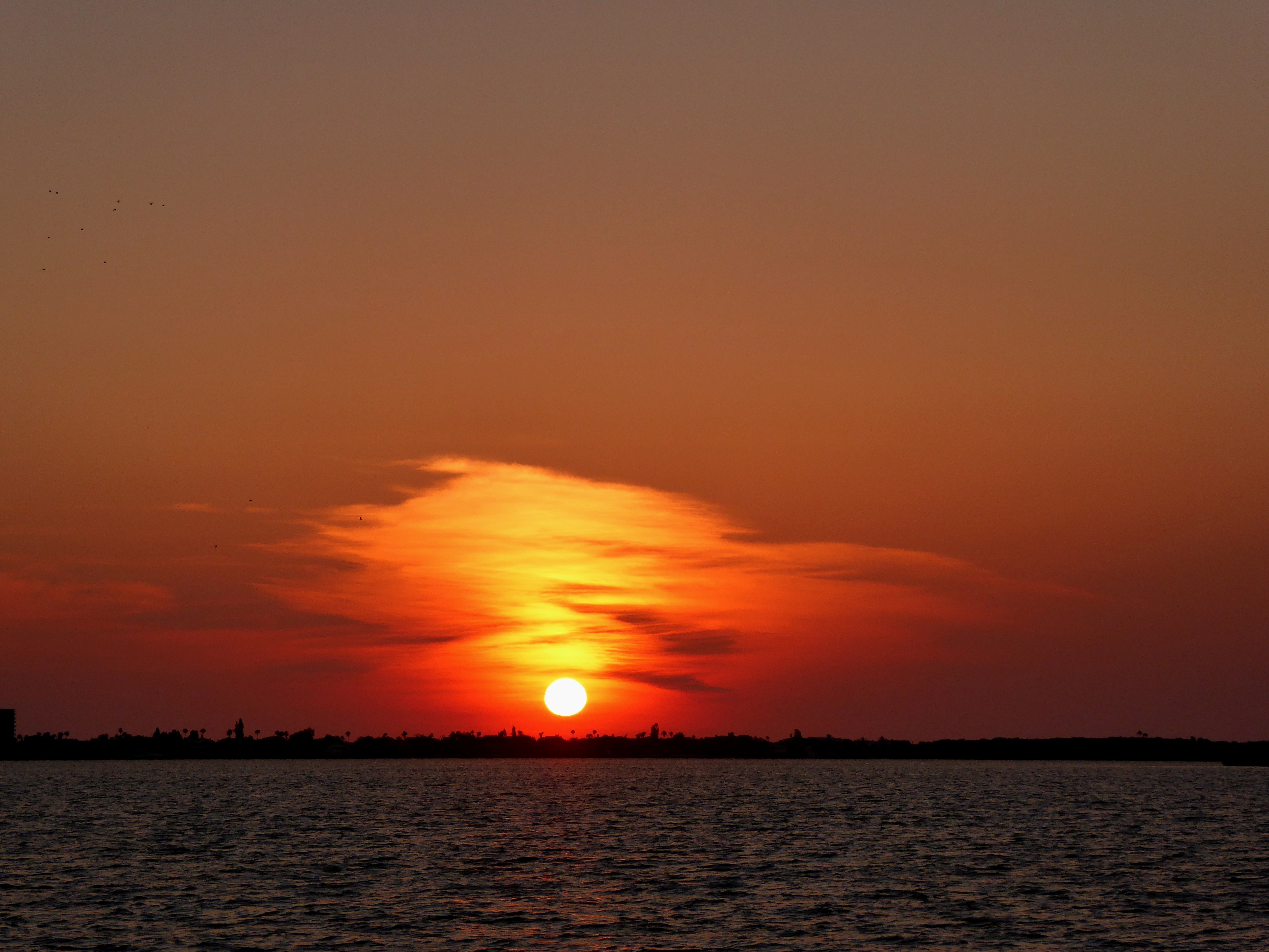 Laden Sie das Horizont, Florida, Natur, Sunset, Strand-Bild kostenlos auf Ihren PC-Desktop herunter