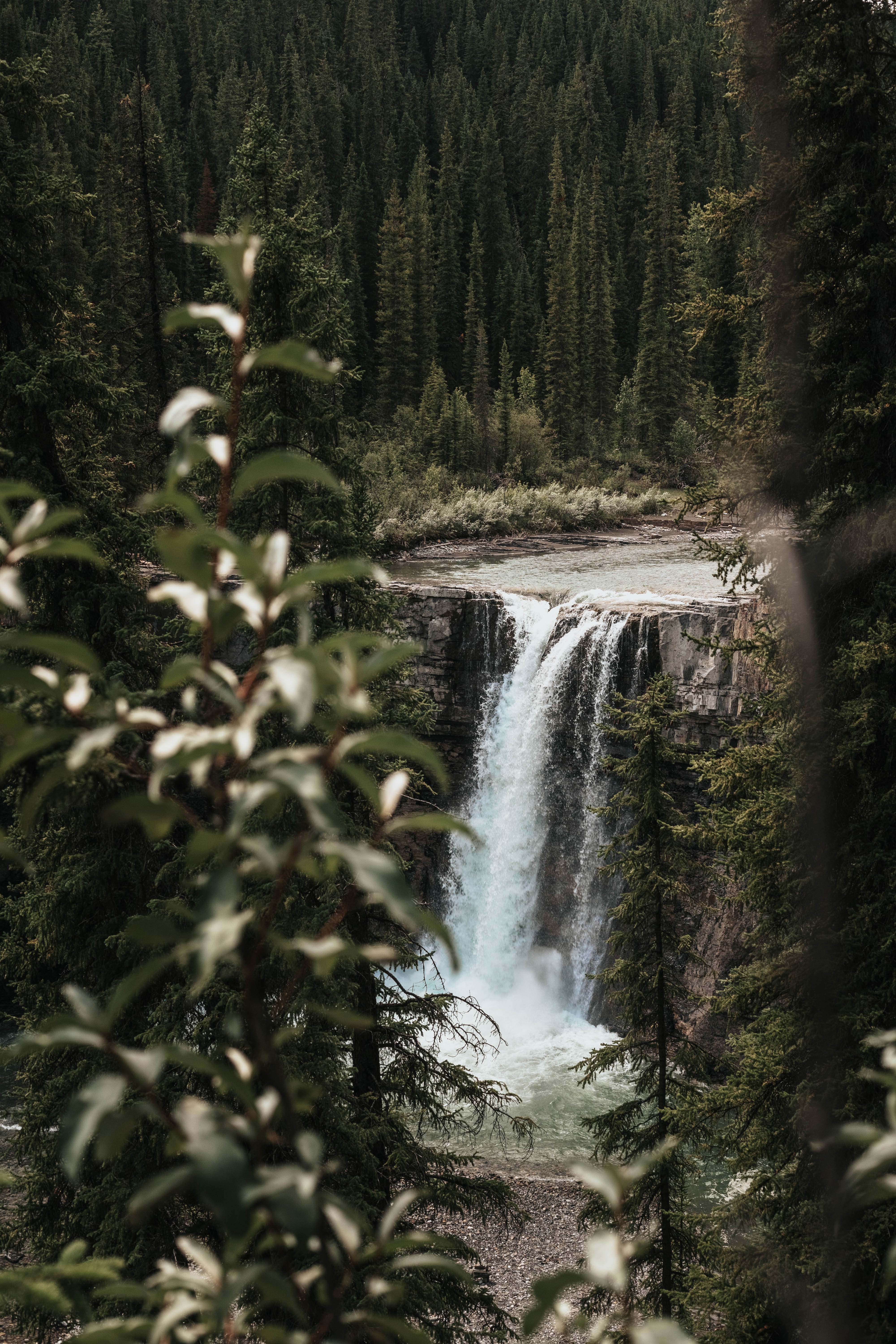 Download mobile wallpaper Waterfall, Precipice, Trees, Break, Nature, Branches, Flow for free.
