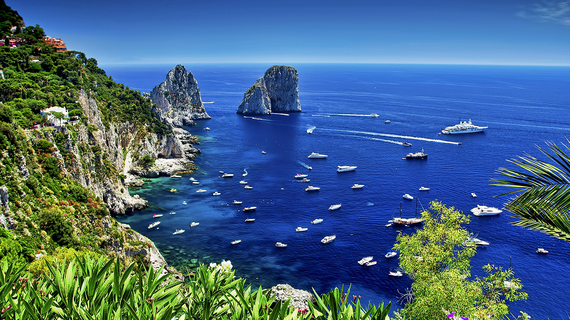 Popular Capri HD Wallpaper
