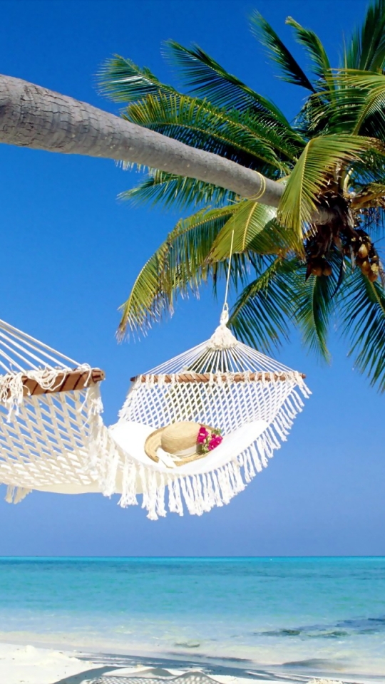 Cool Backgrounds  Hammock