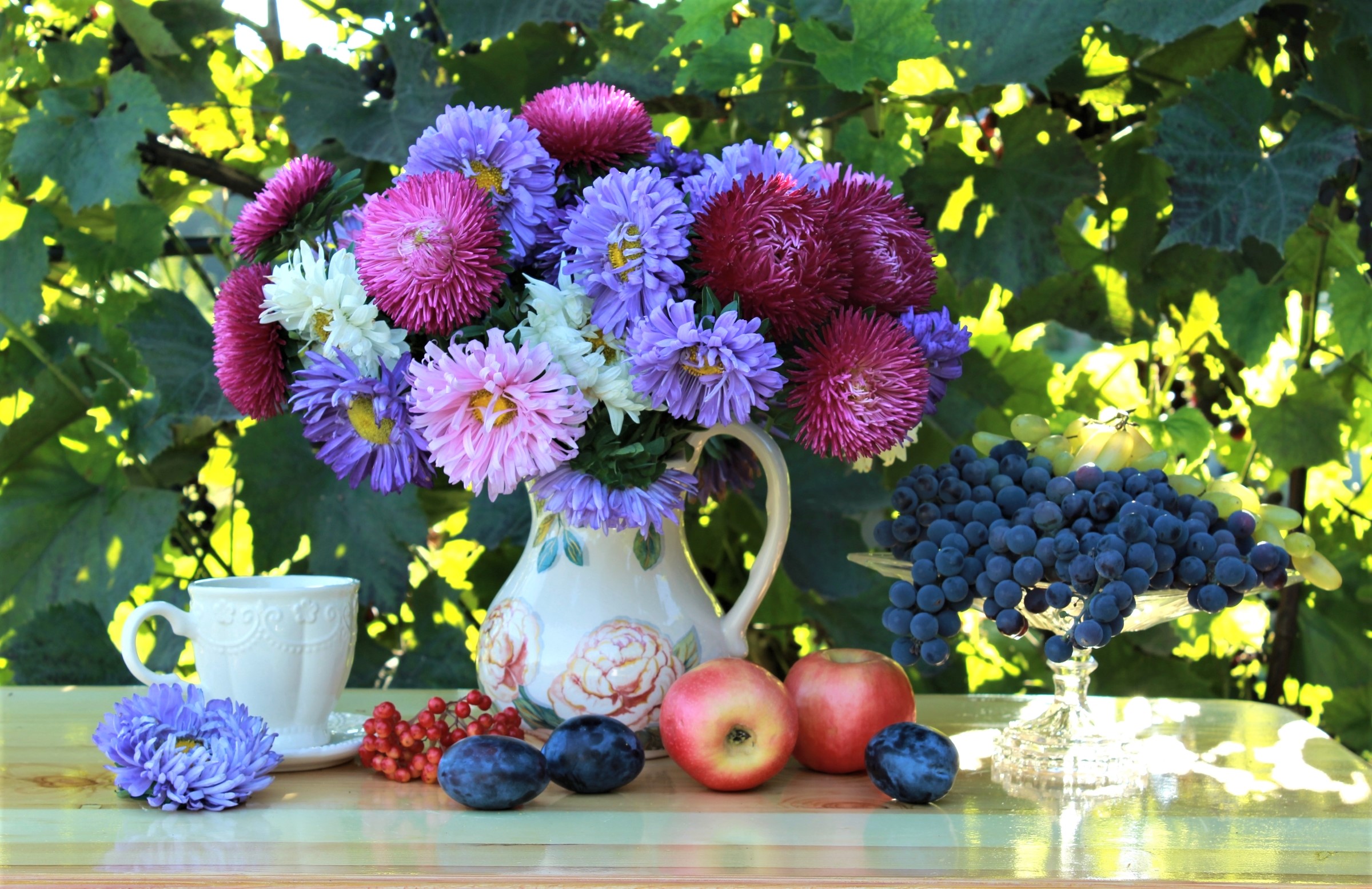 photography, still life, flower, fruit, grapes, outdoor, pitcher, teacup download HD wallpaper