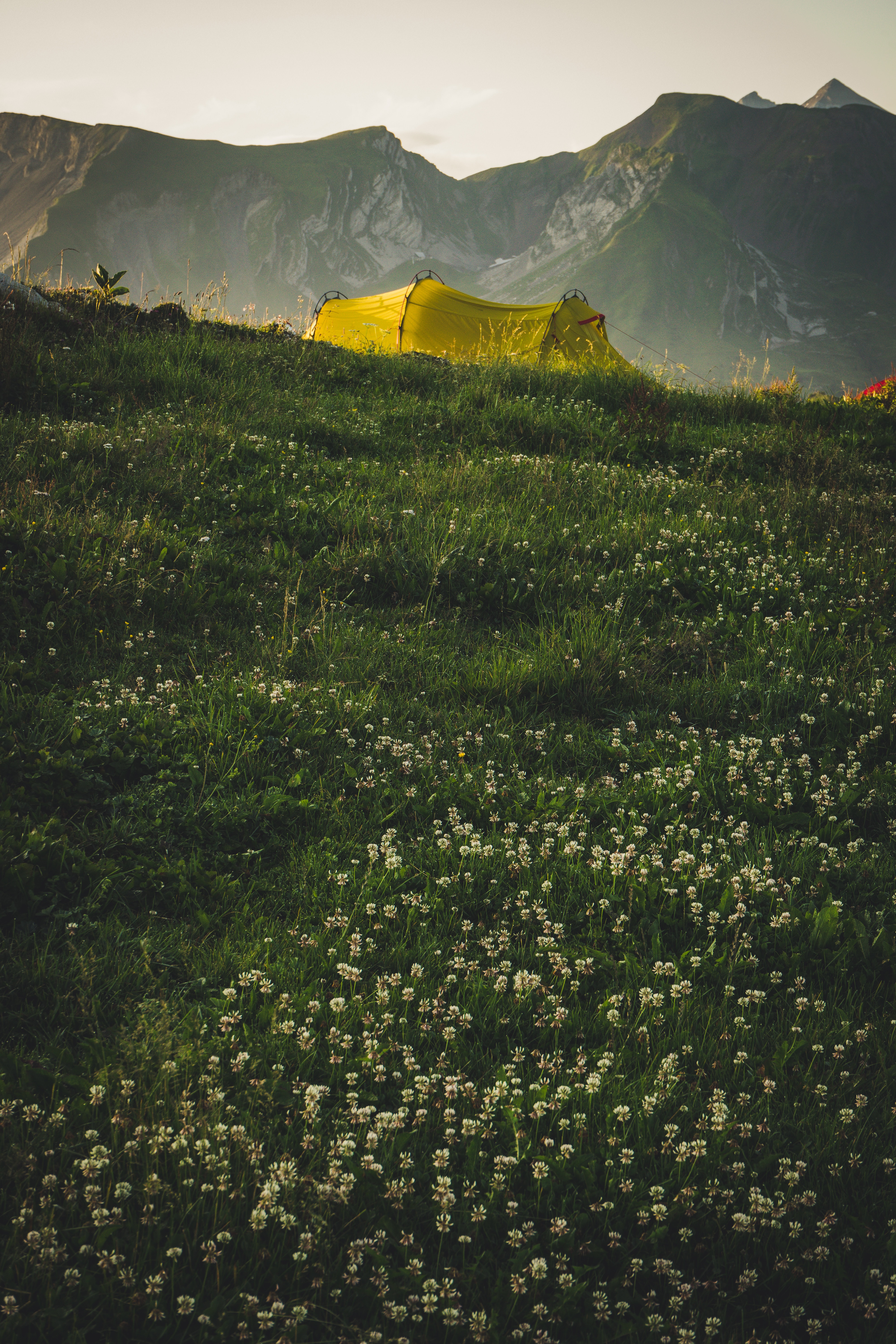 Téléchargez des papiers peints mobile Herbe, Nature, Montagnes, Tente, Camping gratuitement.