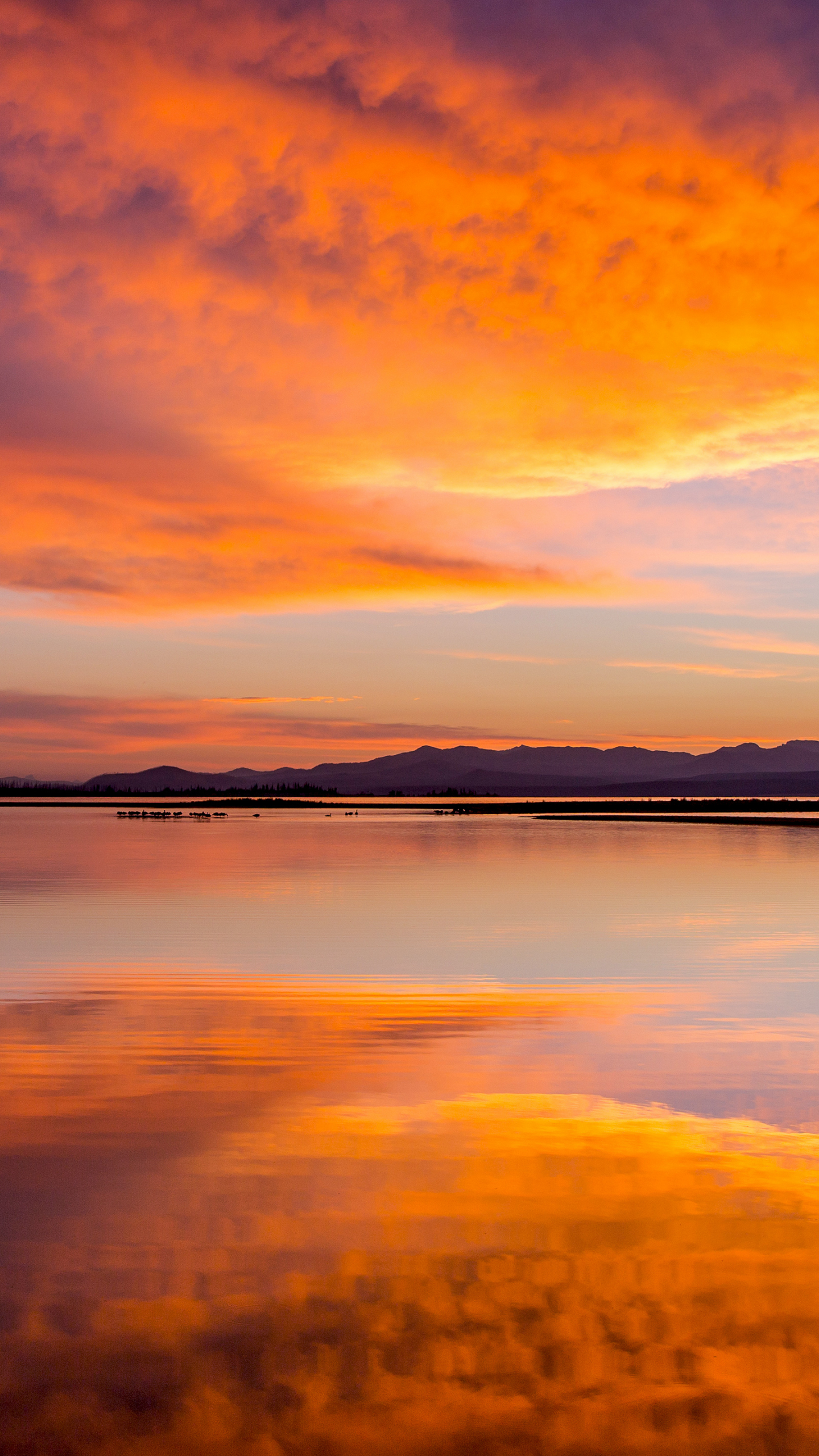 earth, yellowstone national park, sunrise, reflection, yellowstone, montana, national park Phone Background