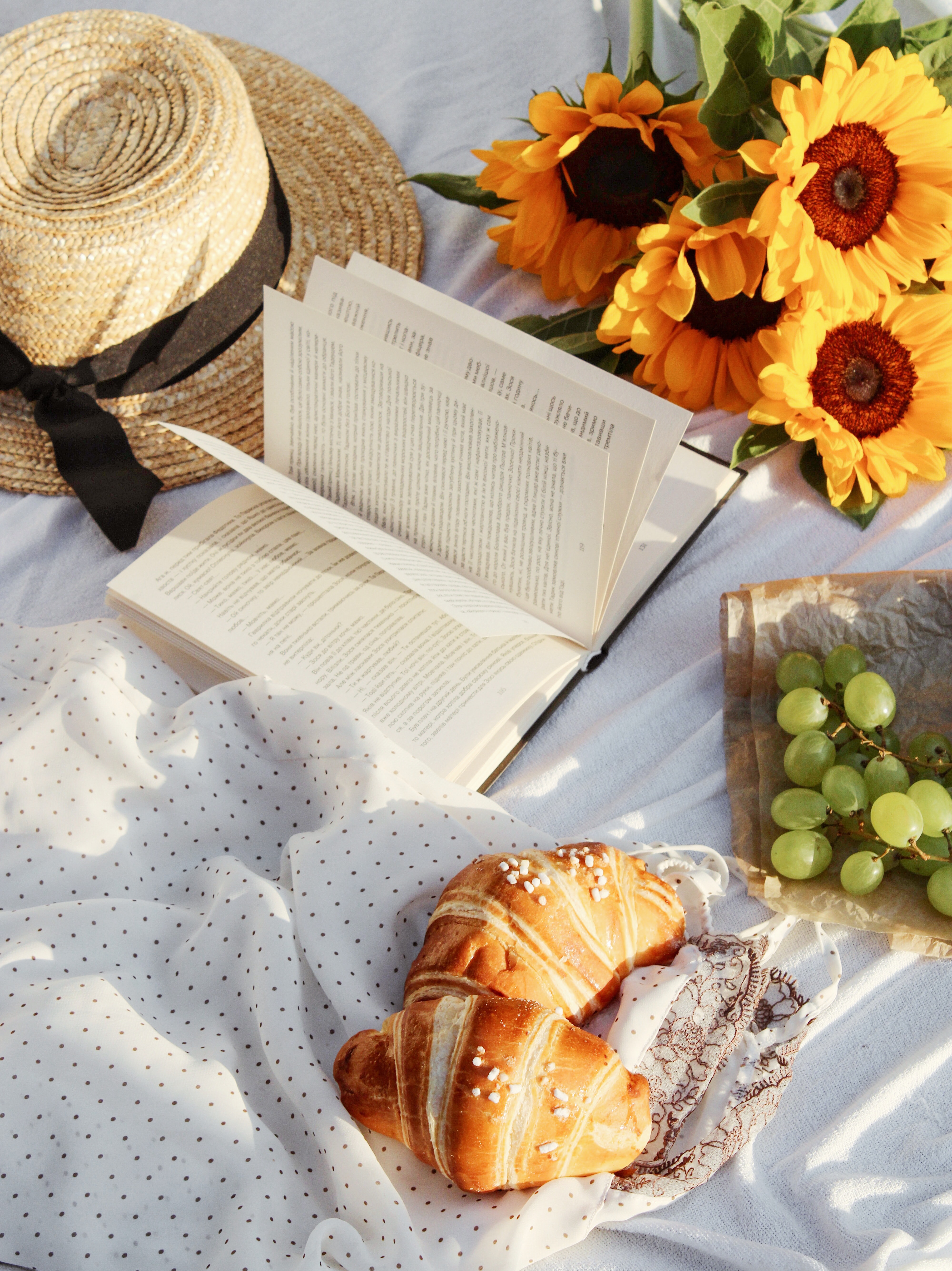 book, hat, miscellanea, miscellaneous, picnic, croissant HD wallpaper