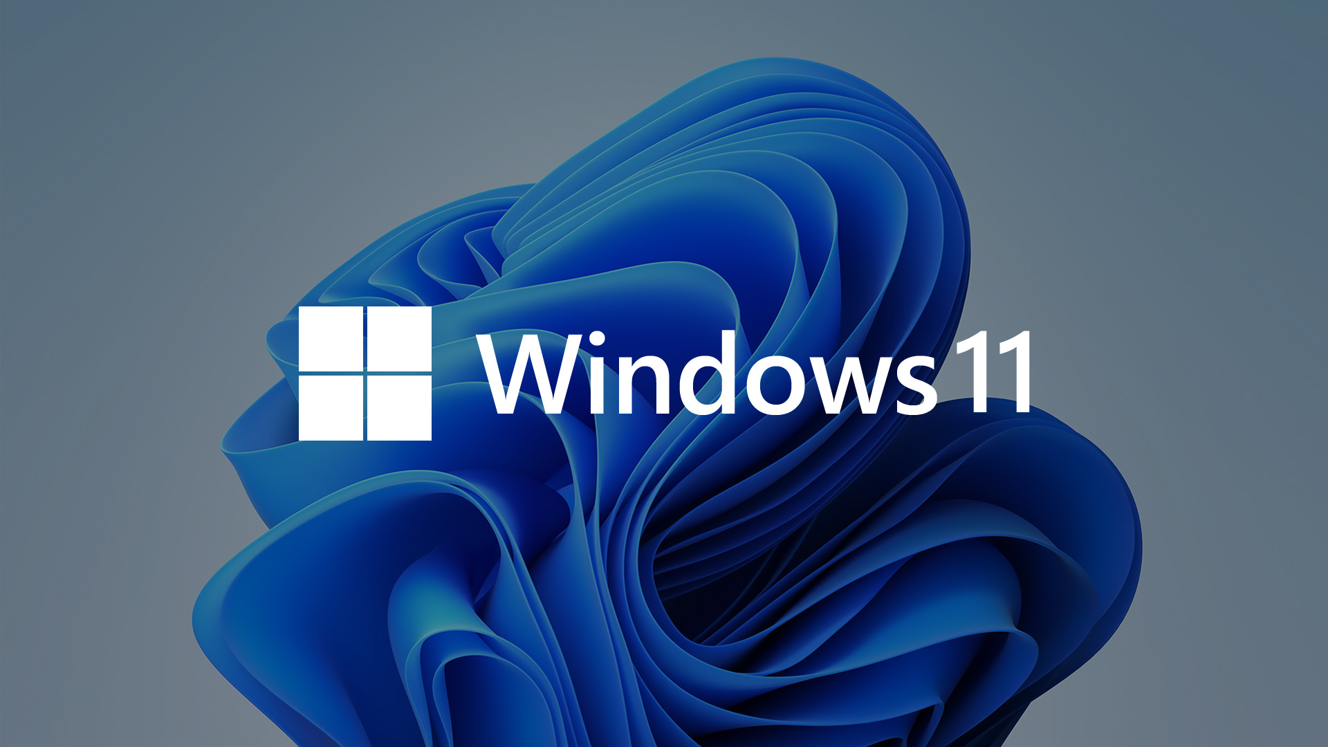 1029609 économiseurs d'écran et fonds d'écran Windows 11 sur votre téléphone. Téléchargez  images gratuitement