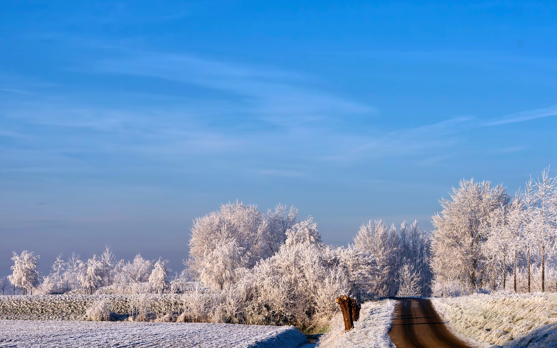 landscape, winter, trees, roads, blue Desktop home screen Wallpaper