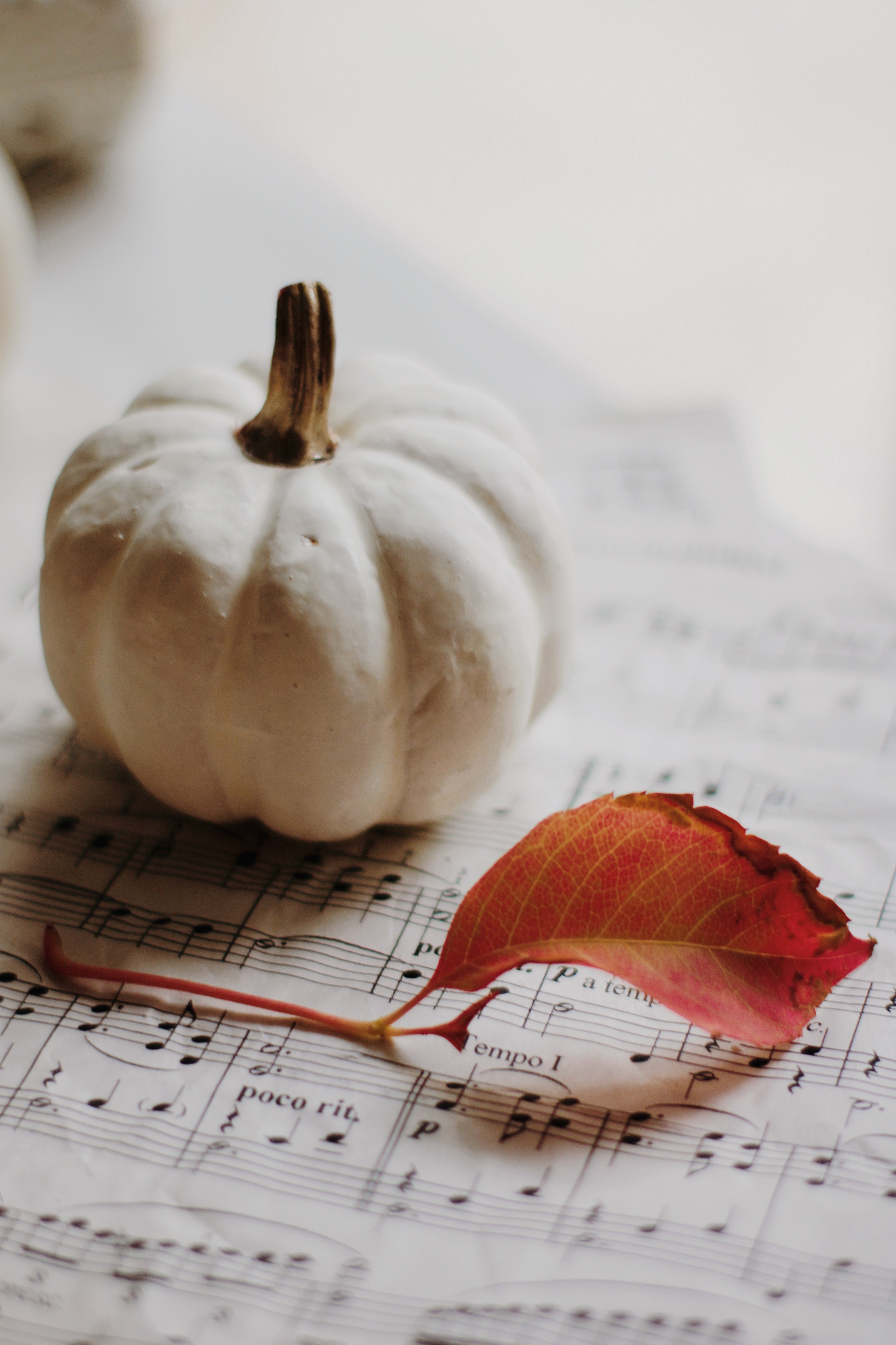 music, autumn, pumpkin, miscellanea, miscellaneous, sheet, leaf, notes UHD