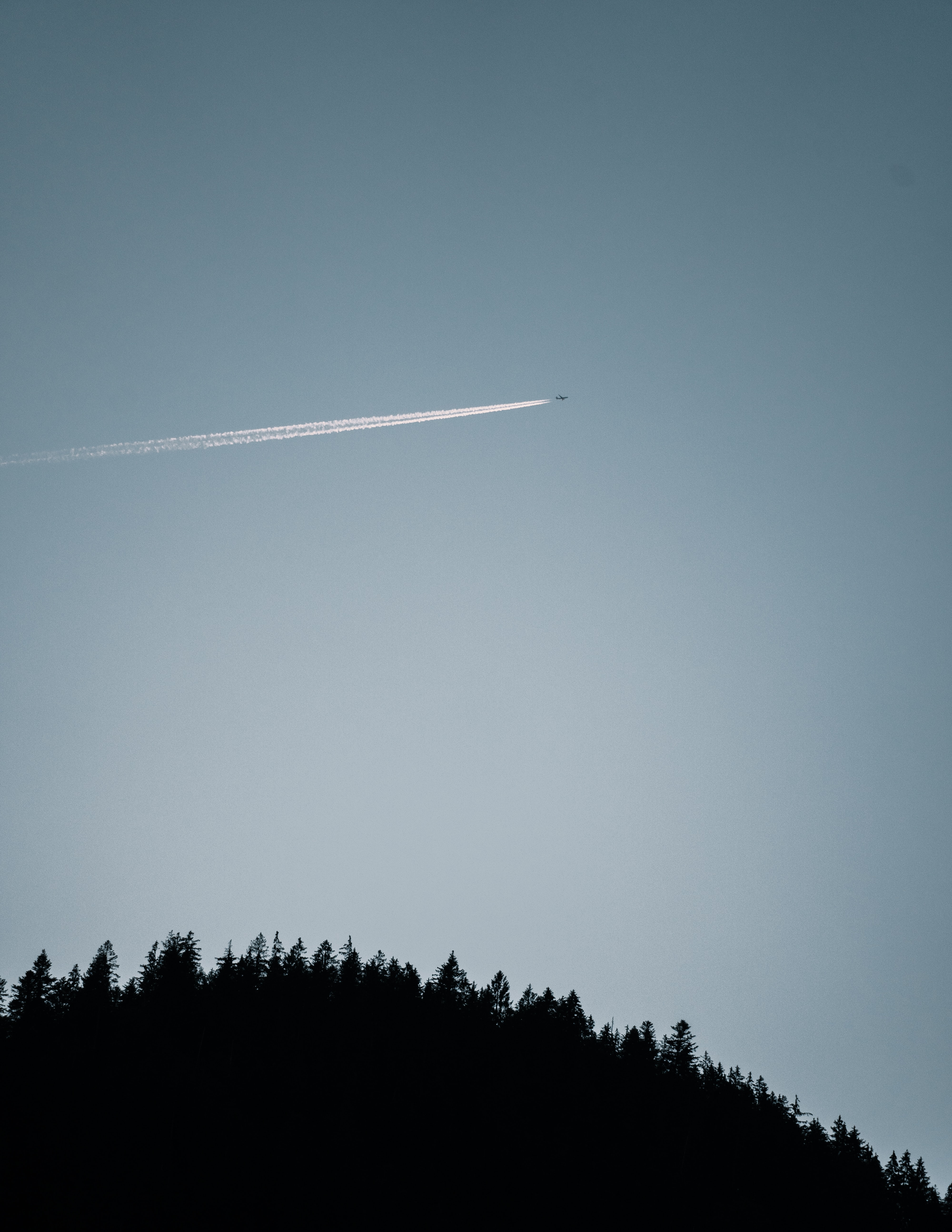 plane, nature, trees, sky, flight, airplane, track, trace HD wallpaper