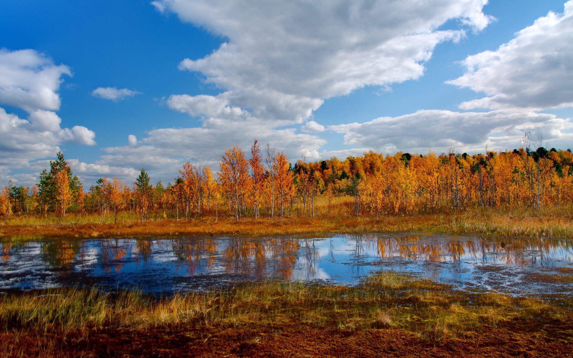 Природа России осень