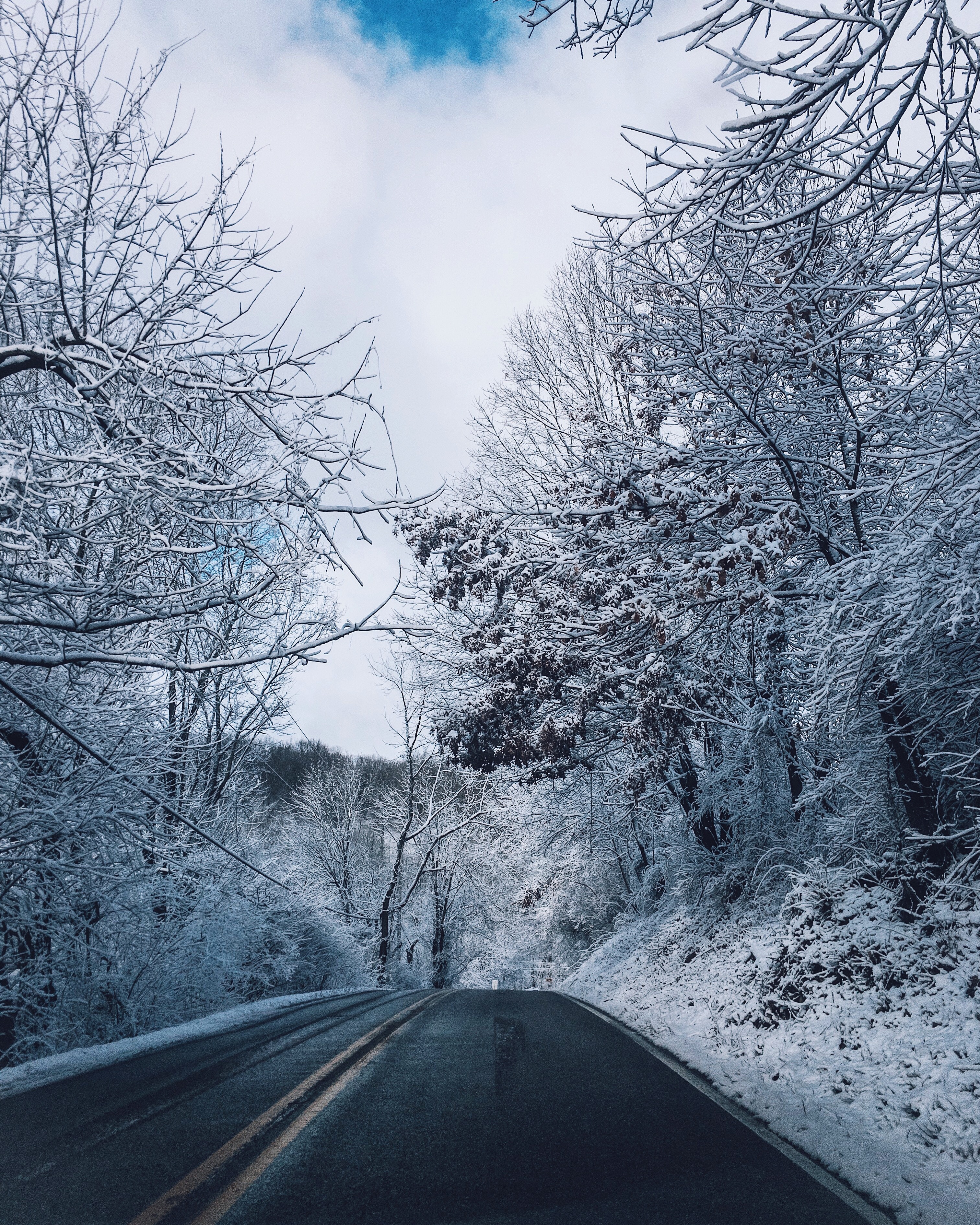 nature, road, markup, trees, winter, snow UHD