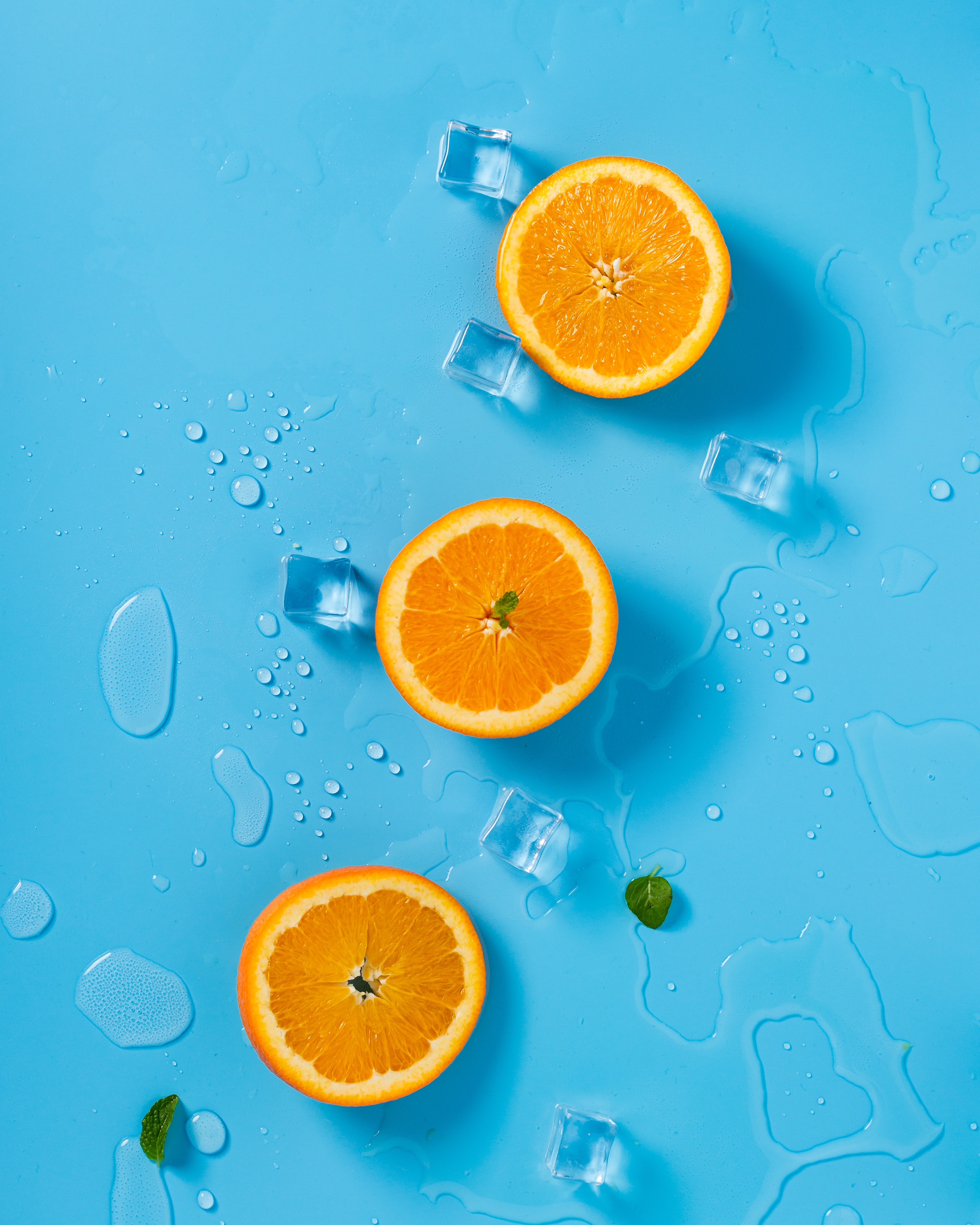 food, orange, mint, melting, ice, rings, citrus download HD wallpaper