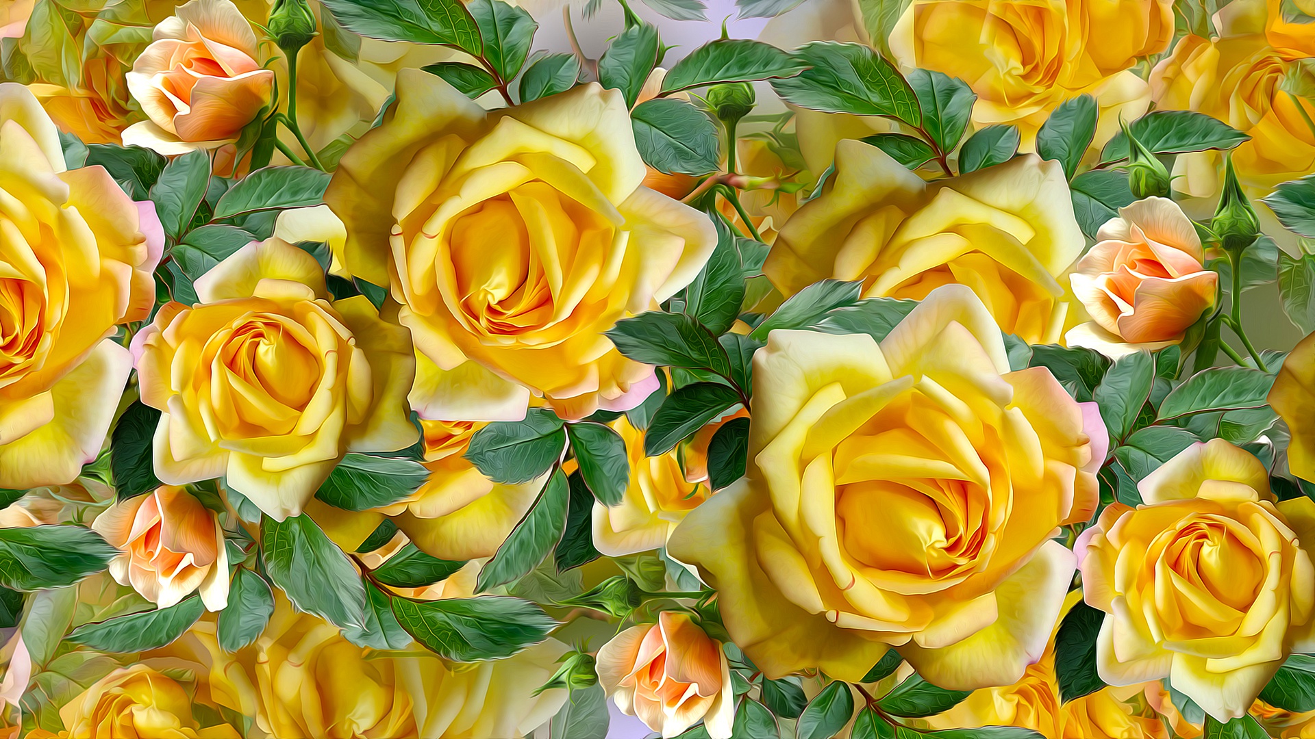 Желтые розы обои