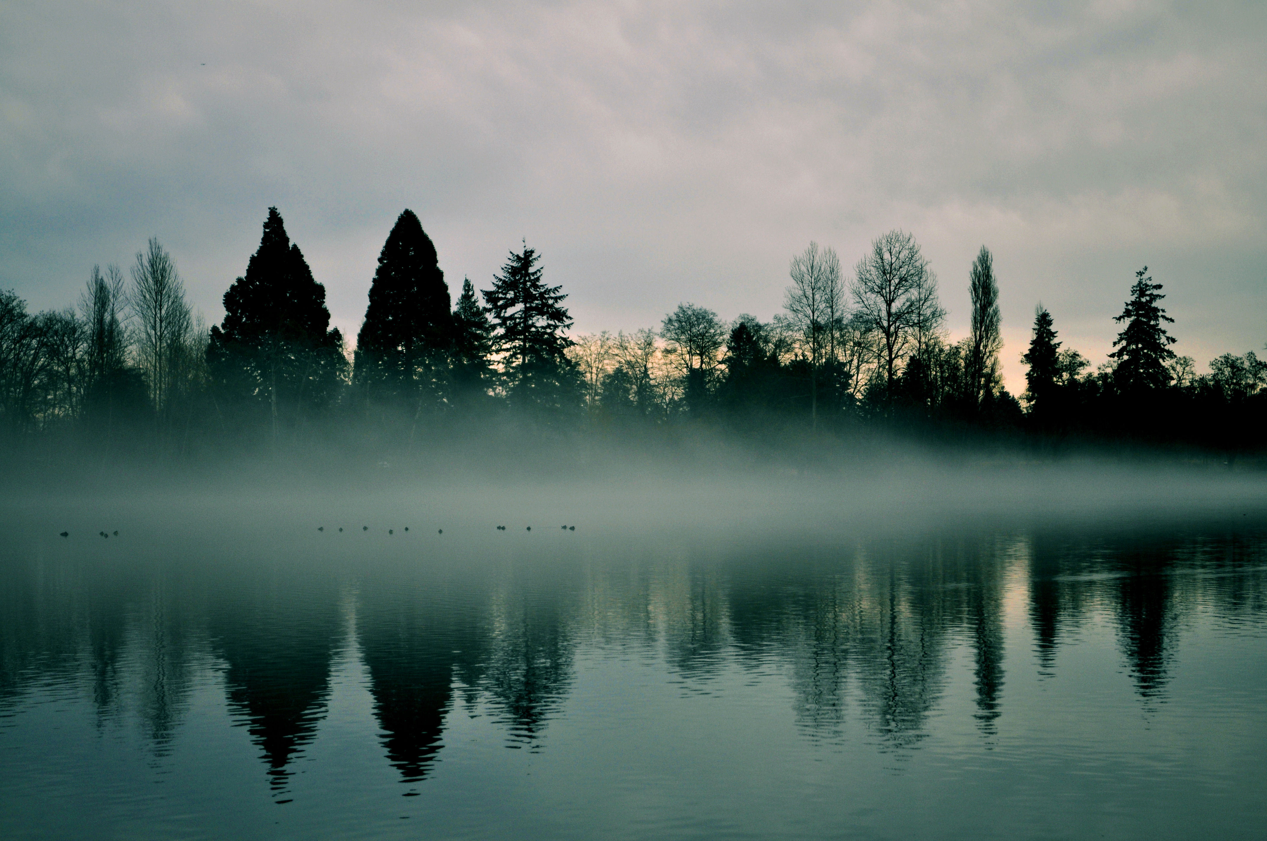 Free download wallpaper Rivers, Reflection, Trees, Fog, Nature on your PC desktop