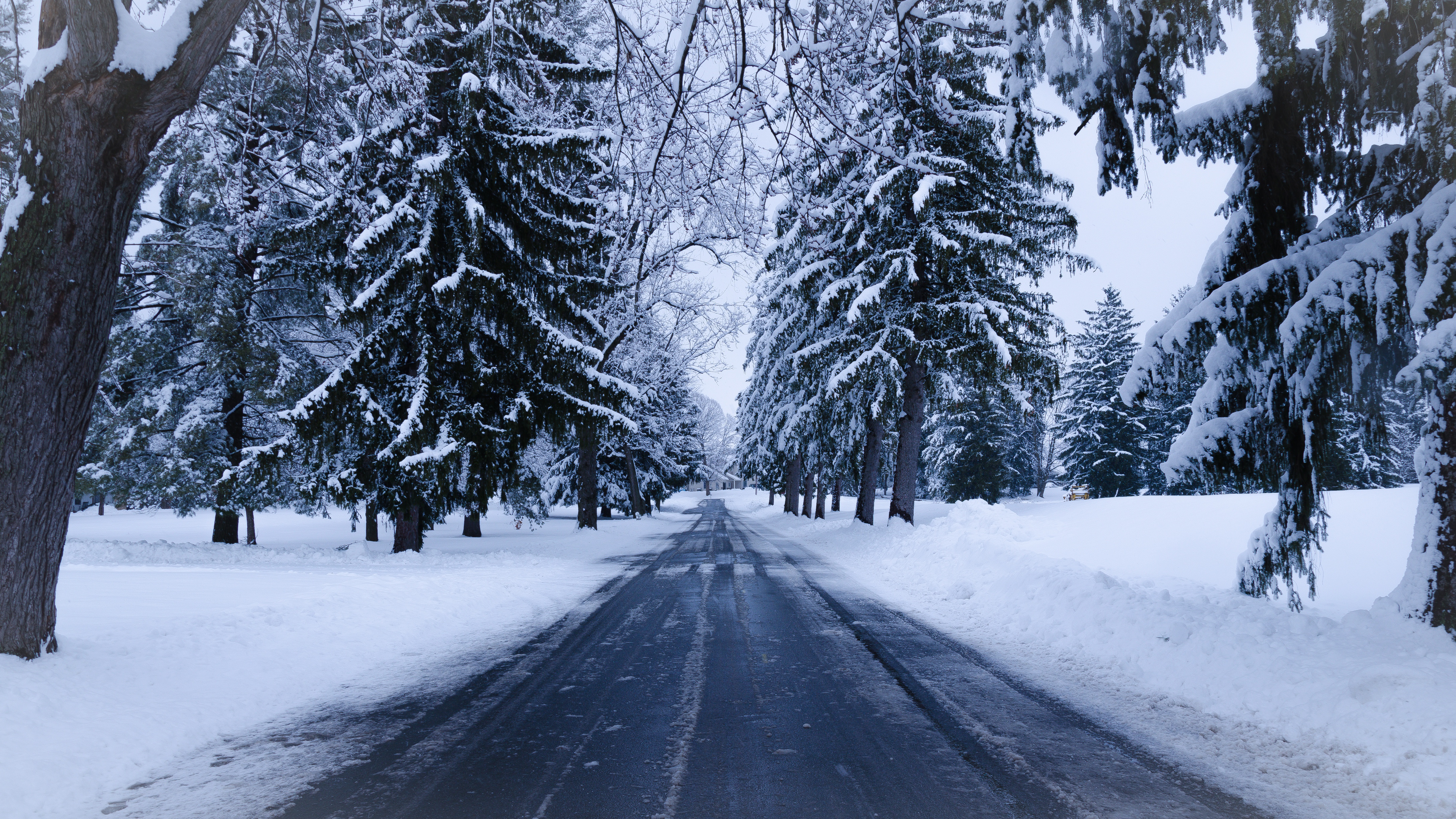 Download mobile wallpaper Winter, Snow, Road, Spruce, Man Made for free.
