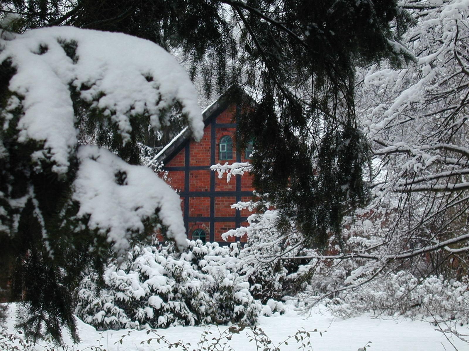 android nature, snow, branches, branch, house, spruce, fir, bricks