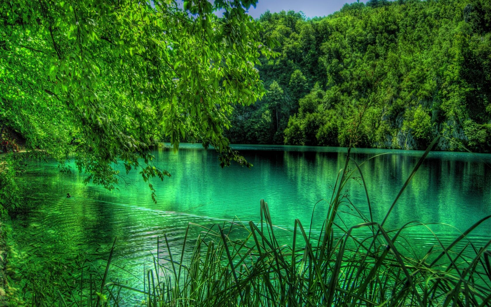 Изумрудное озеро зеленолес