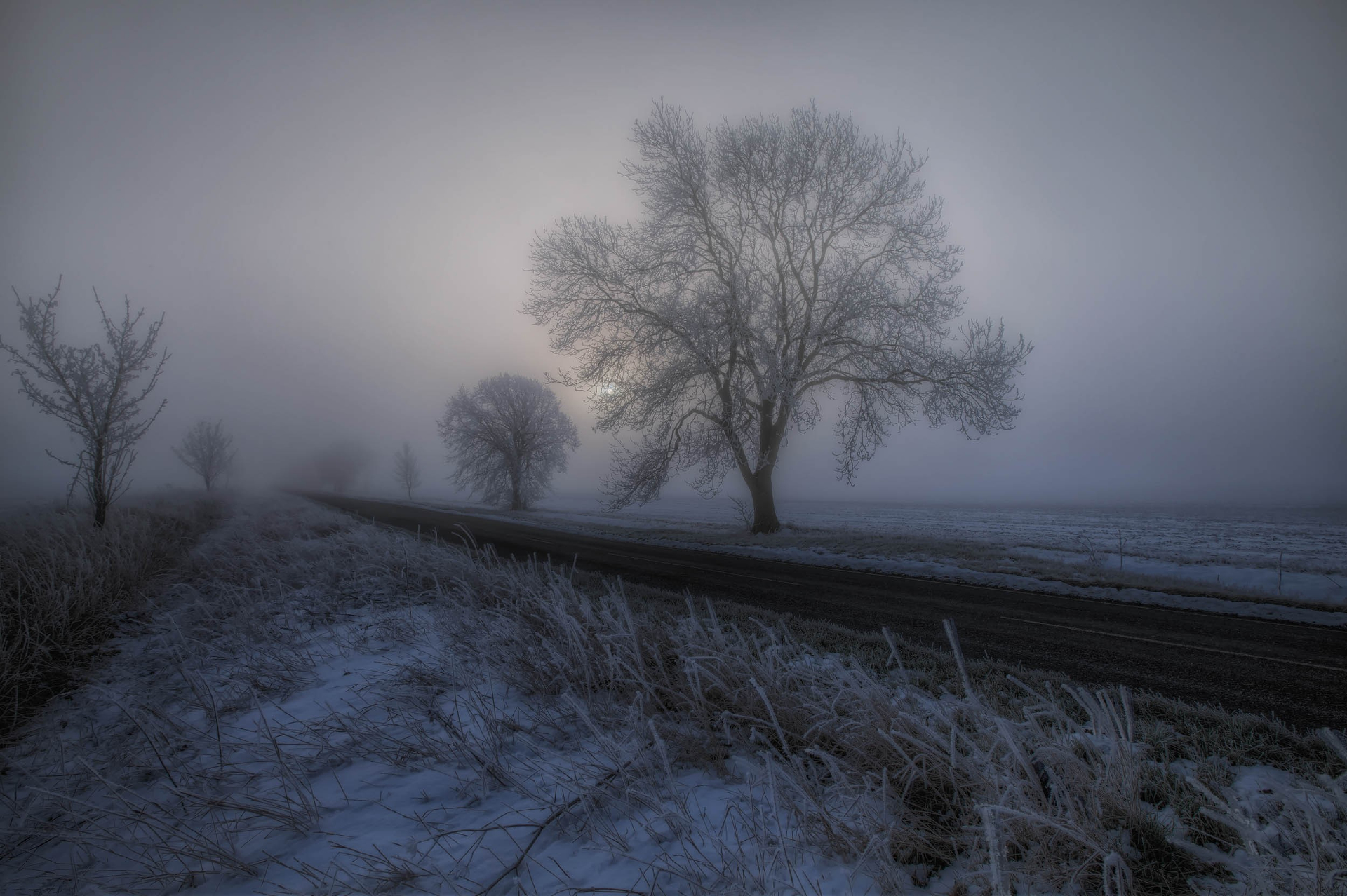Туман зимой на дороге