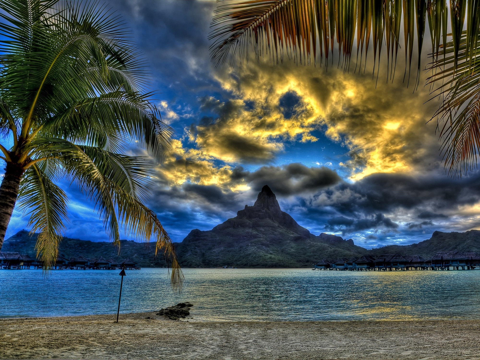 85541 скачать картинку пляж, вершина, море, природа, облака, песок, пальмы, гора, ветви - обои и заставки бесплатно