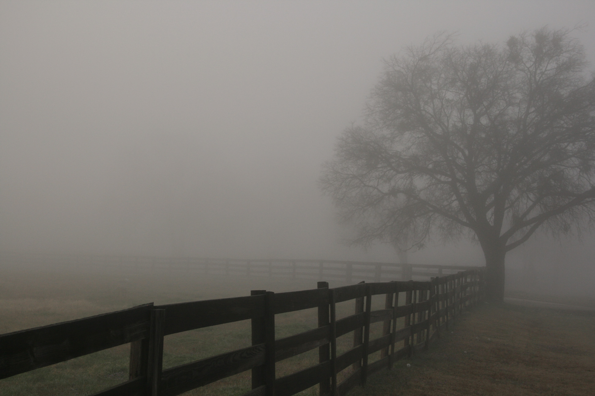 Утренний туман начинал слегка рассеиваться впр ответы. Туман. Пейзаж туман. Туман Эстетика деревня. Серый пейзаж.