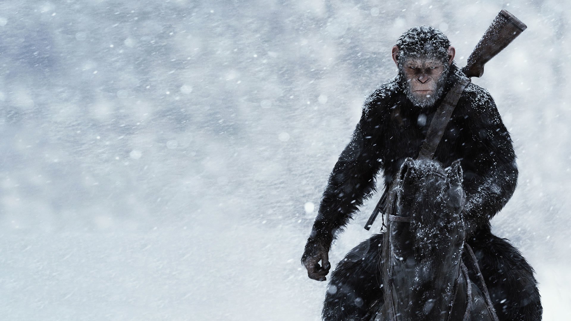 Movies Rise of the Planet of the Apes wallpaper  1920x1080  216290   WallpaperUP