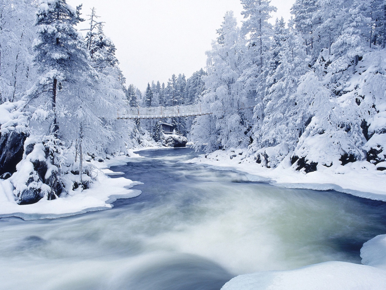 無料モバイル壁紙川, 雪, 風景, 冬, 木をダウンロードします。