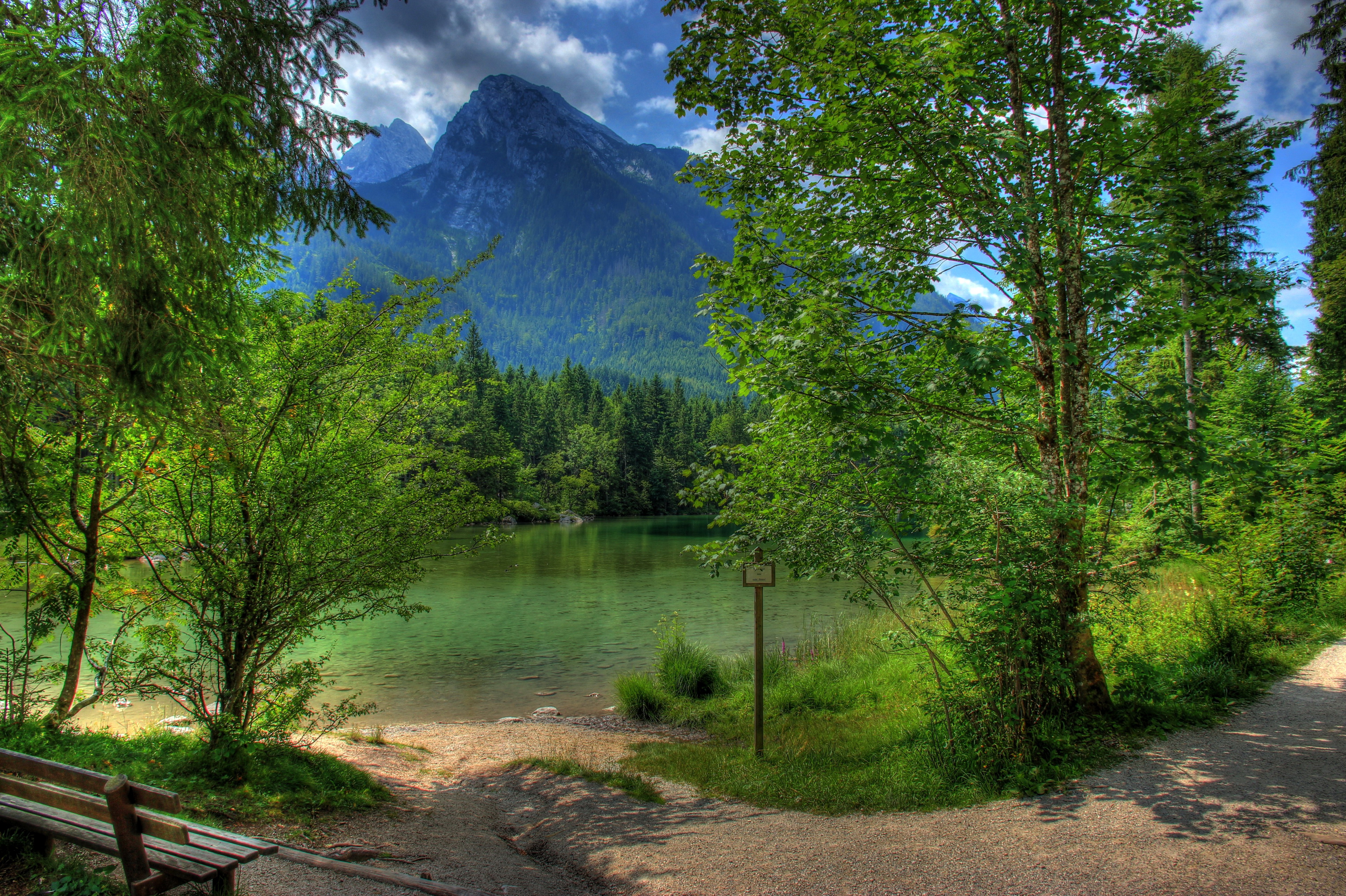 green, mountain, spring, photography, lake, bench, forest, germany, landscape, pond, tree, lakes 8K