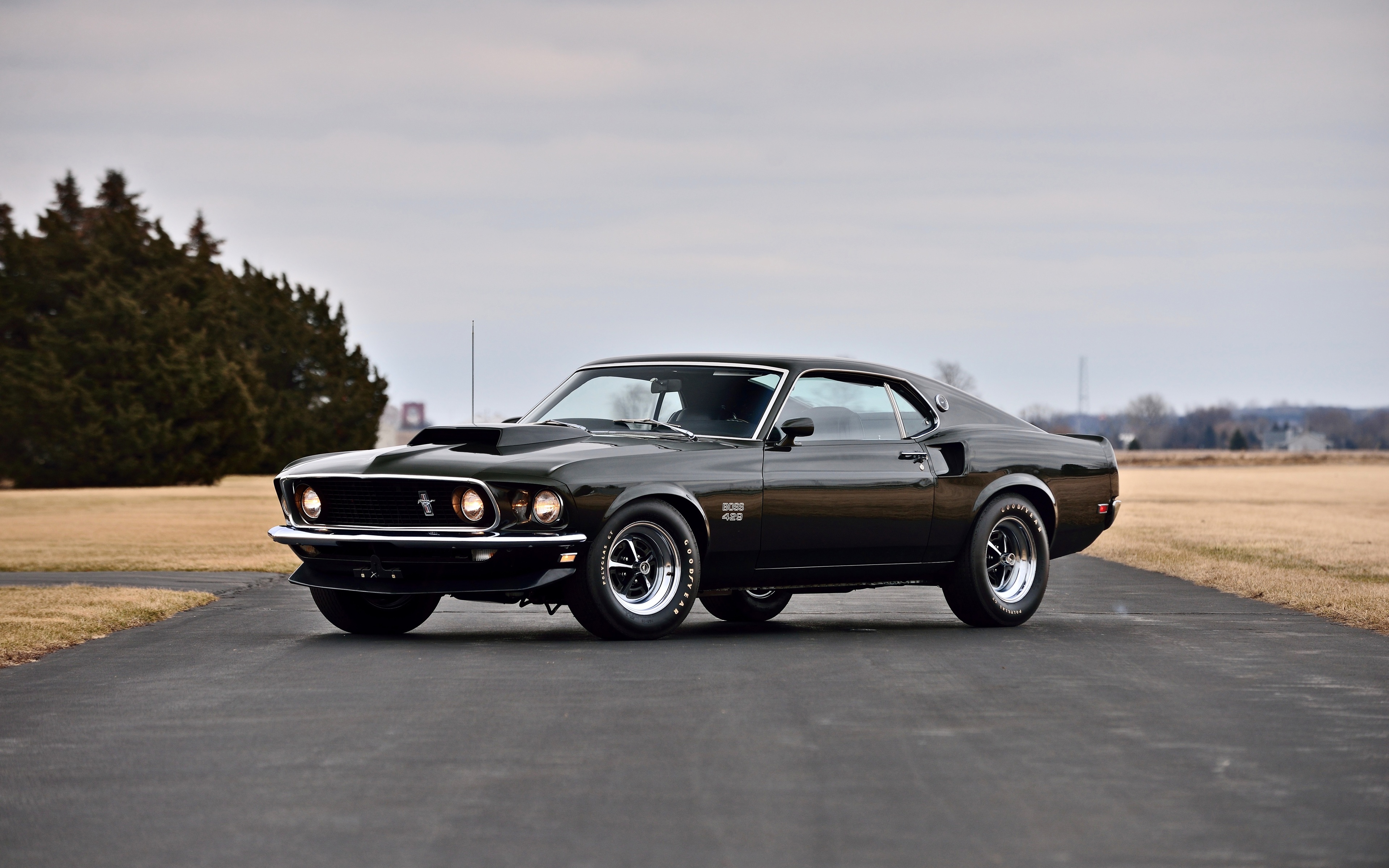 ford mustang boss 429, vehicles, black car, car, fastback, muscle car, ford iphone wallpaper