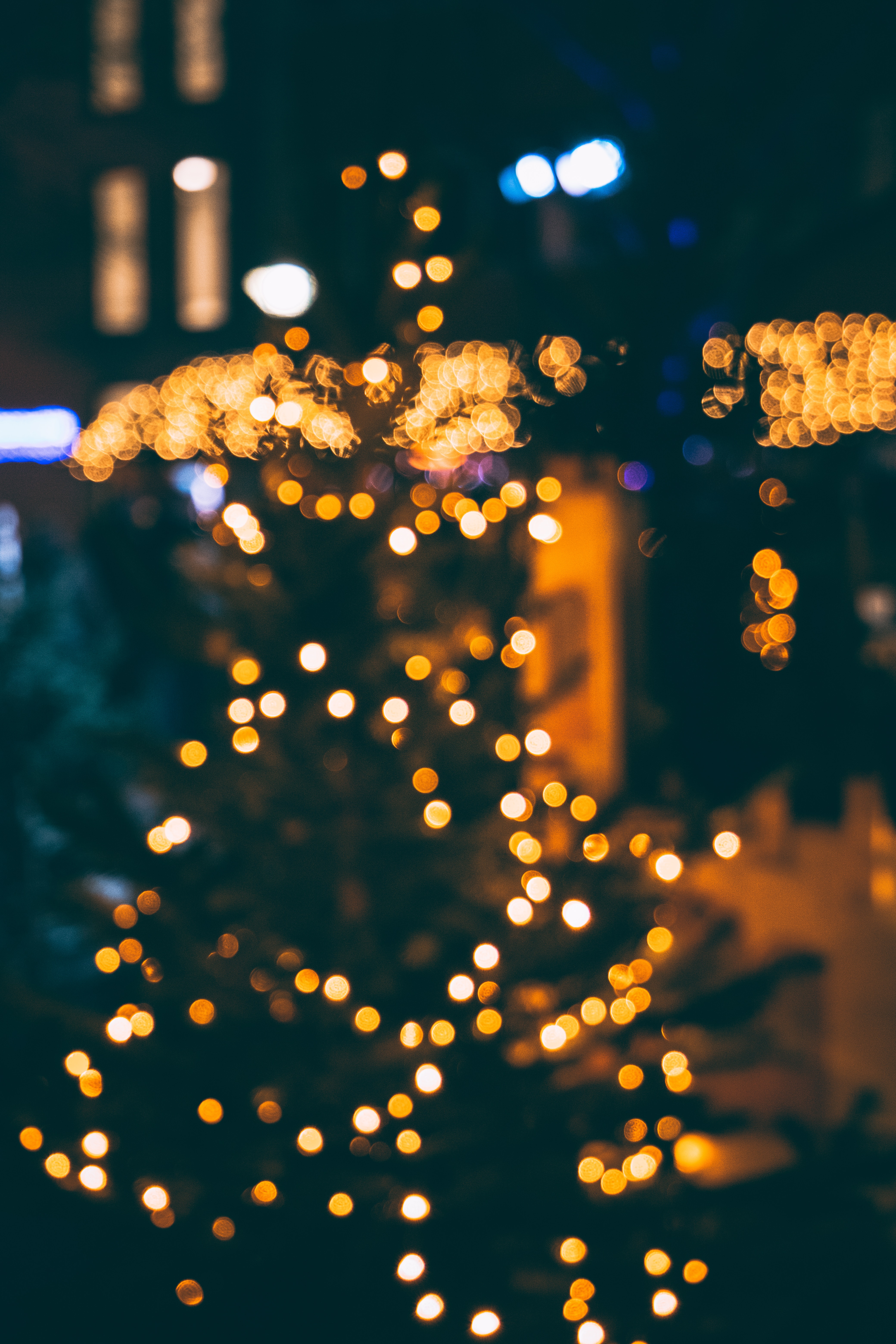 glare, holidays, new year, lights, christmas tree, bokeh, boquet, festive
