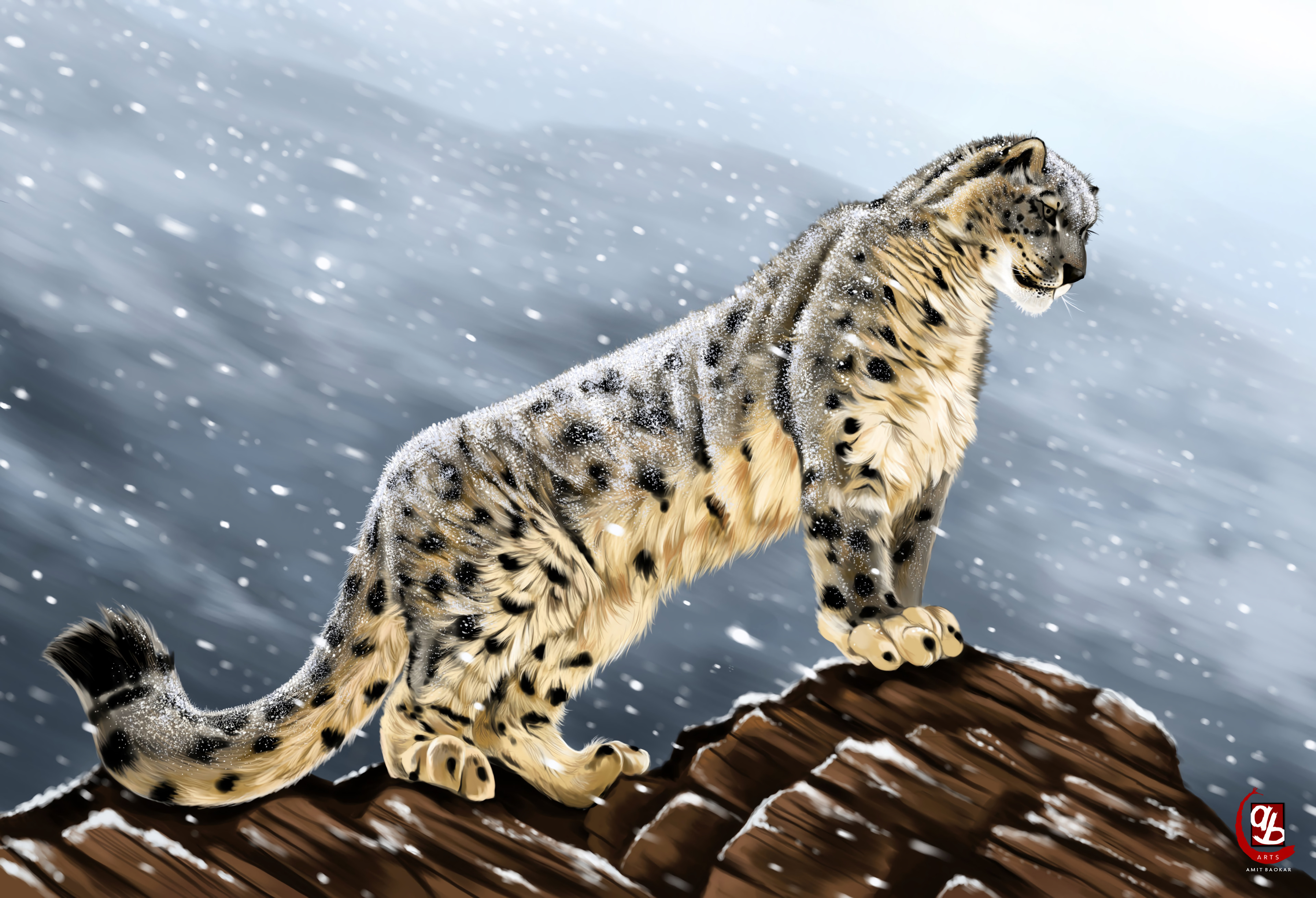 snow leopard, stones, art, predator, big cat, sight, opinion wallpapers for tablet