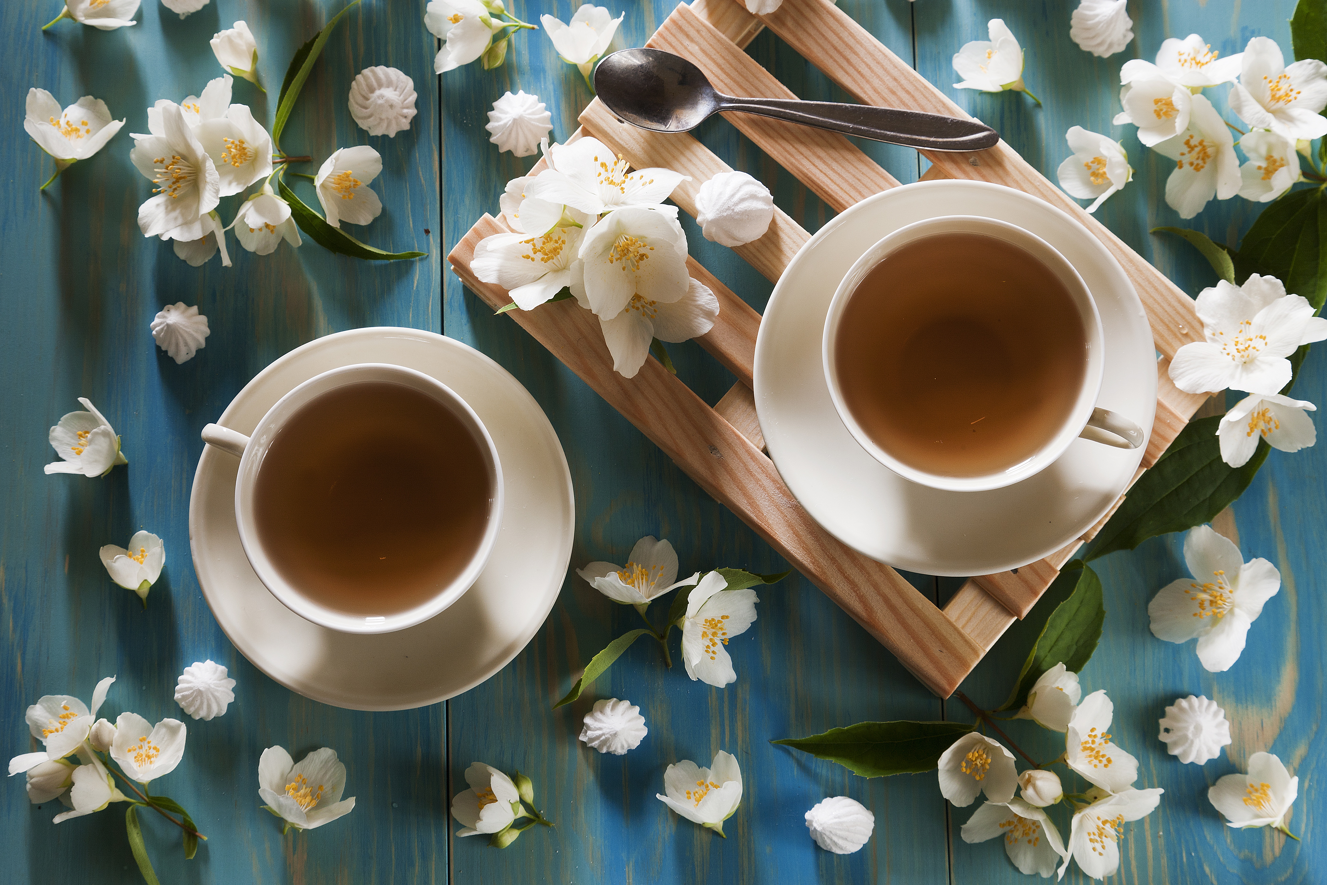 food, tea, cup, flower, jasmine, still life, white flower Image for desktop