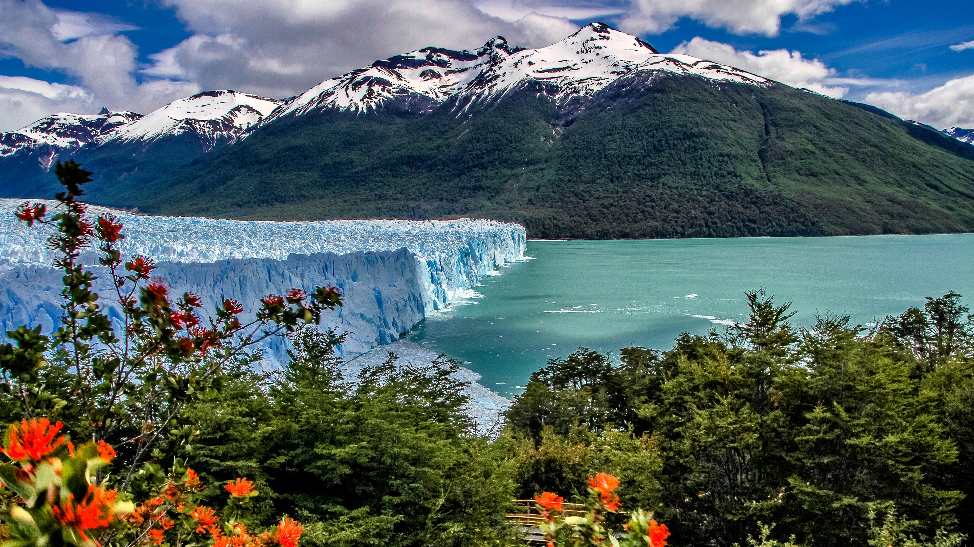 1000229壁紙のダウンロードペリトモレノ氷河, 地球, 氷河, アンデス, アルゼンチン, アルヘンティーノ湖, ブッシュ, 湖, ロス グラシアレス国立公園, 山, パタゴニア-スクリーンセーバーと写真を無料で