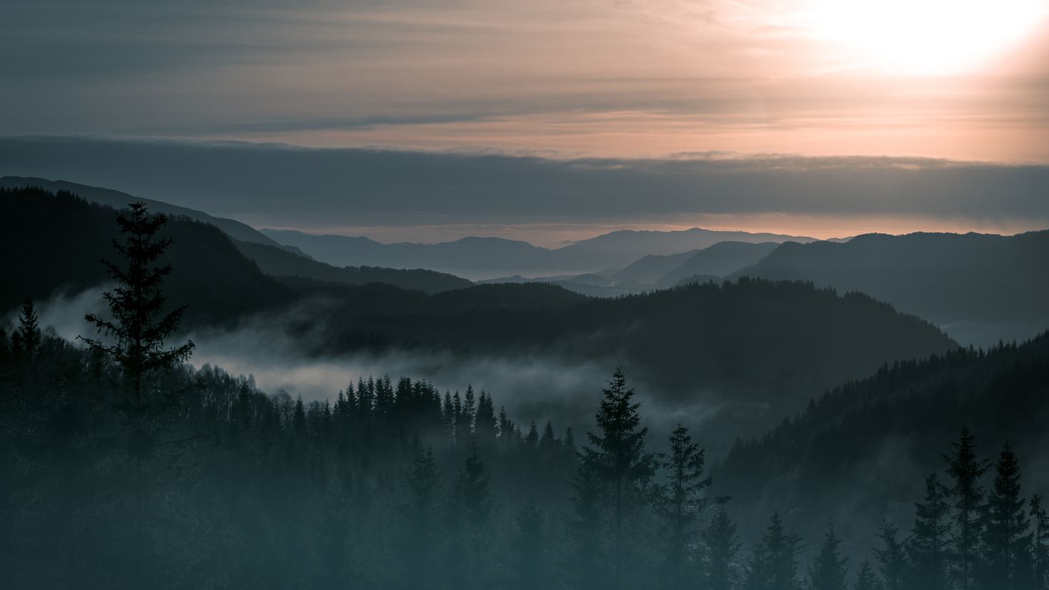 Норвежский лес картинки