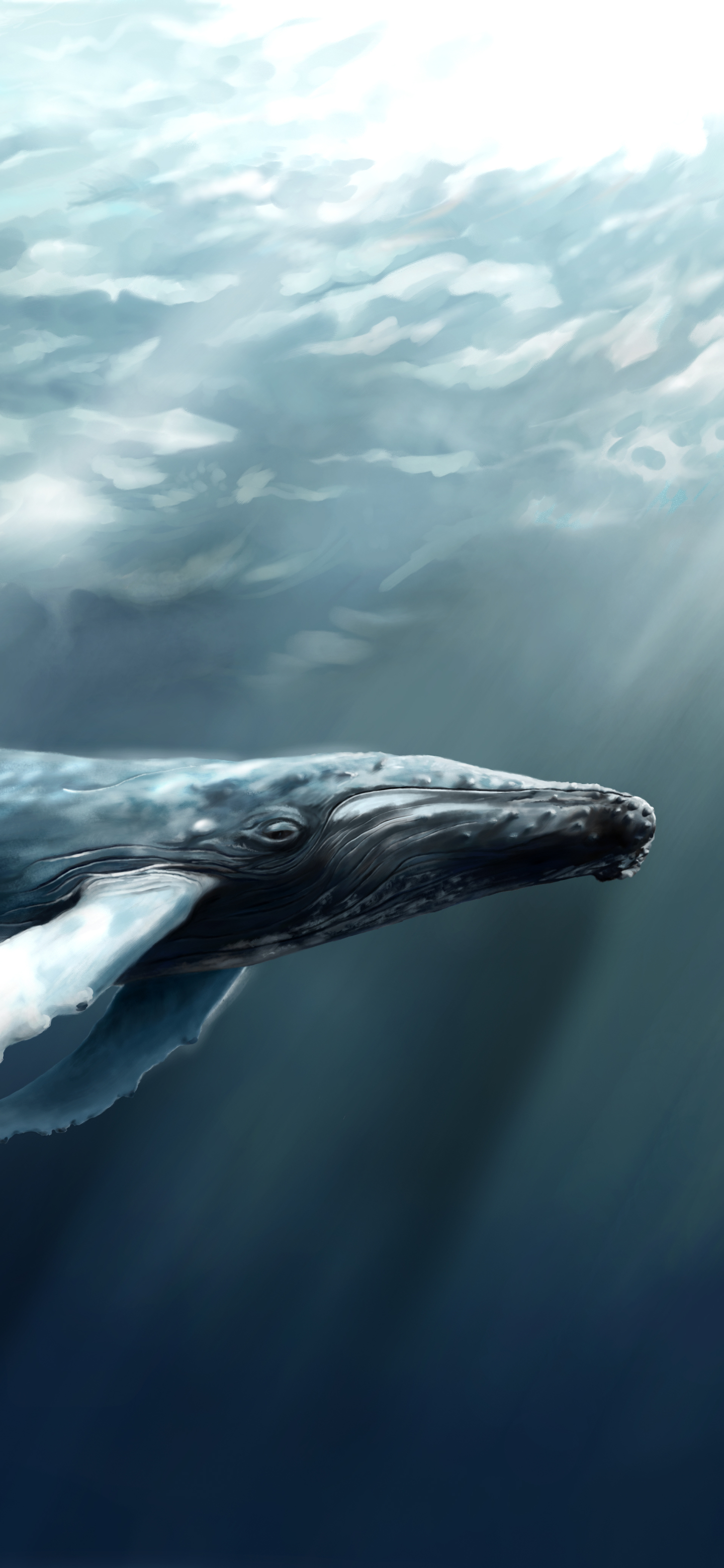 1377418 скачать обои животные, кит, горбатый кит - заставки и картинки бесплатно