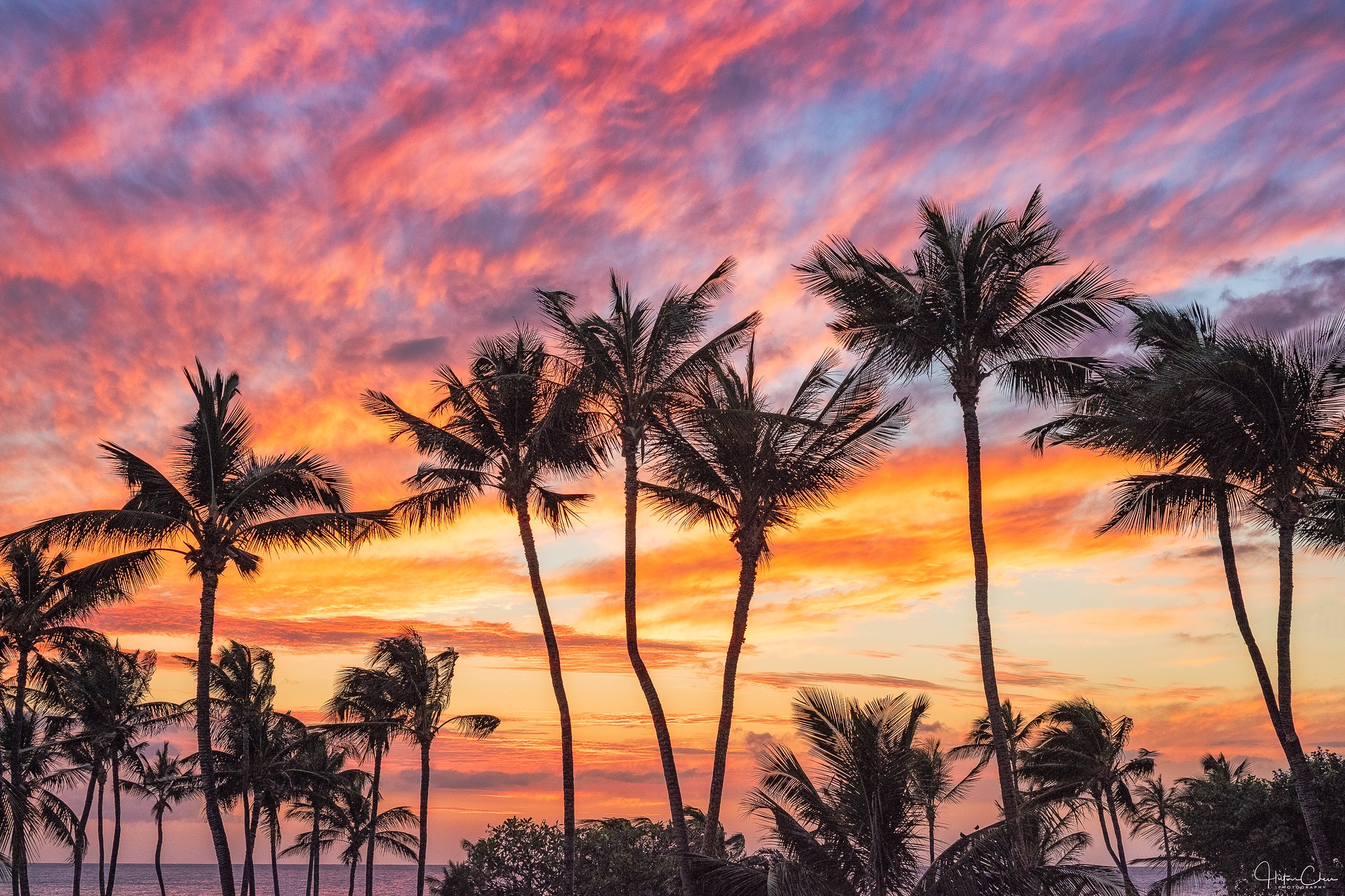 Гавайи закат пальмы океан