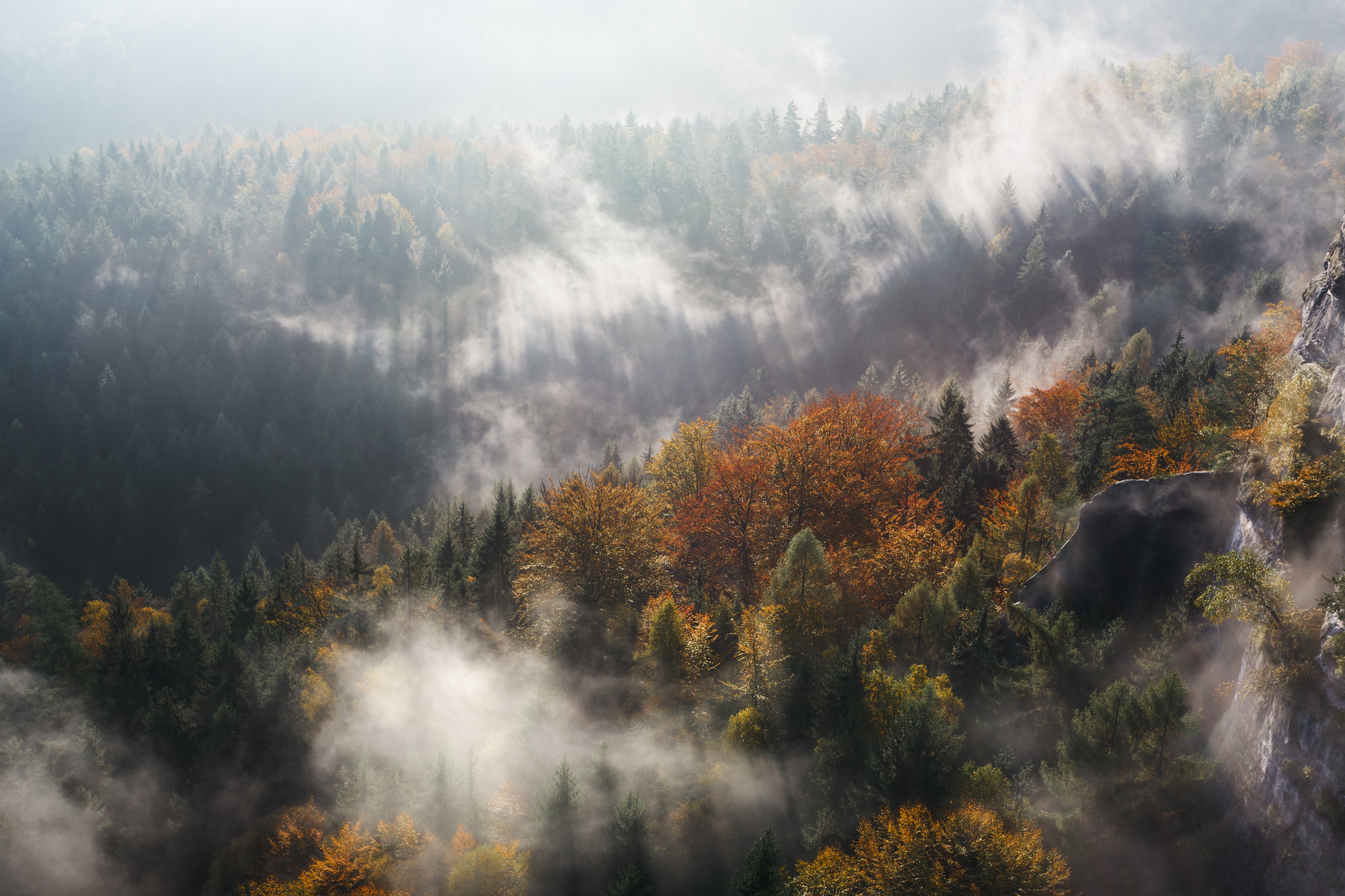 top, nature, trees, mountains, vertex, fog 32K