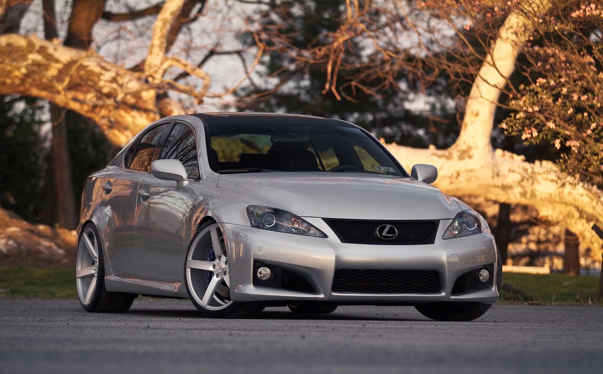 Download mobile wallpaper Lexus Is 250, Silvery, Silver, Cars, Front View, Lexus for free.