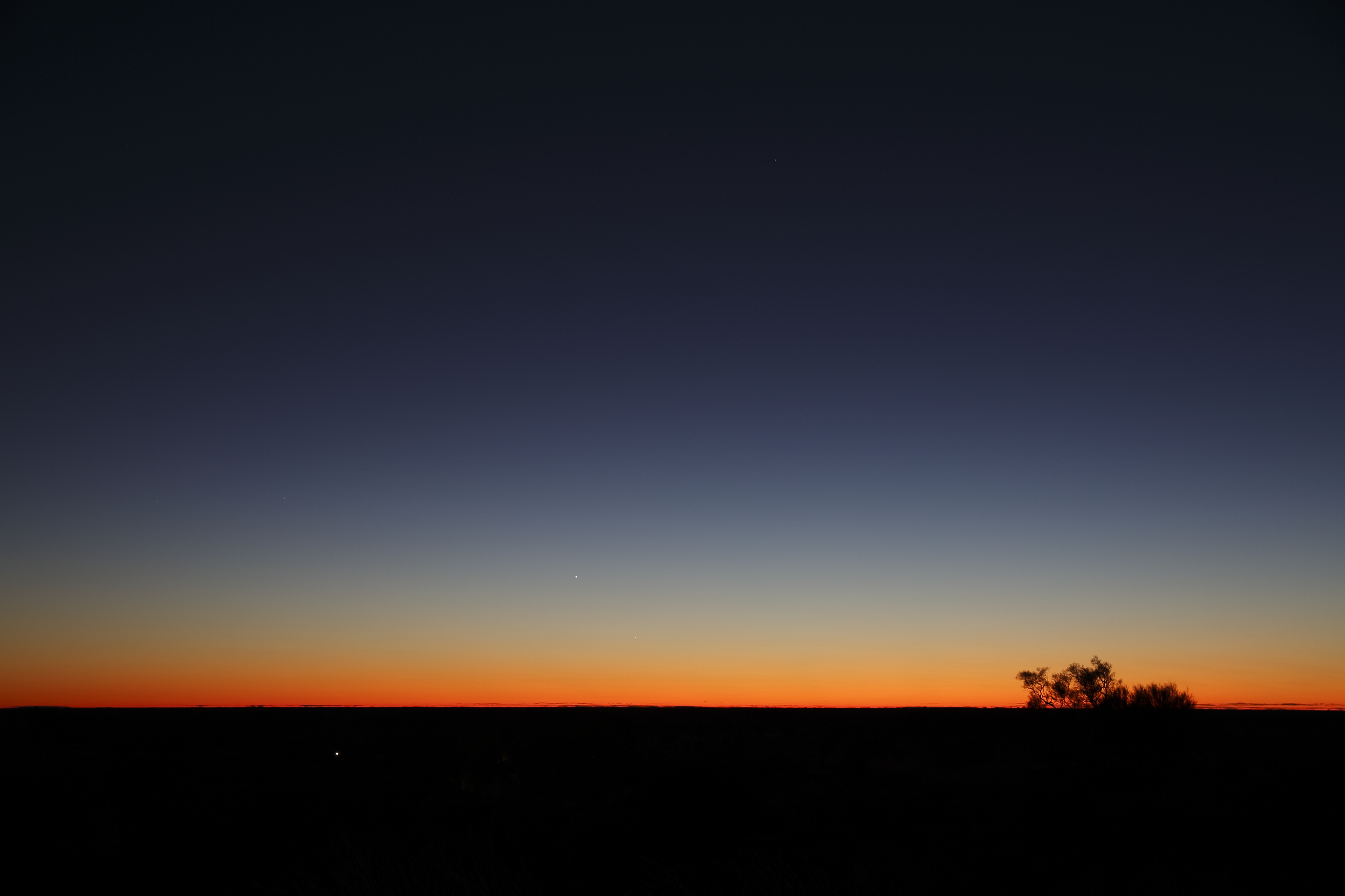144913 Hintergrundbild herunterladen farbverlauf, sky, bush, horizont, dunkel, dämmerung, twilight, gradient - Bildschirmschoner und Bilder kostenlos