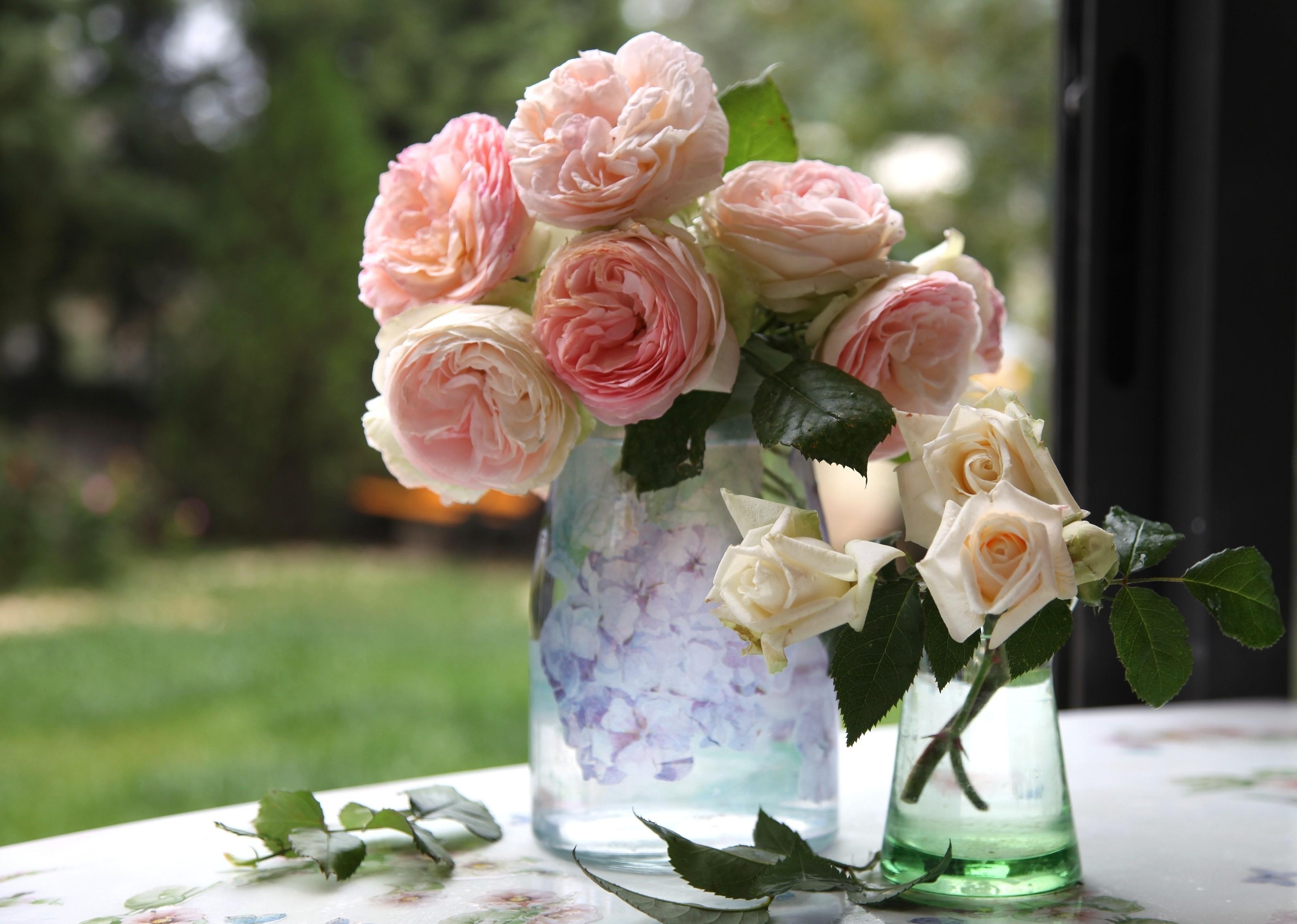 88284 скачать обои букет, розы, цветы, ваза, садовые - заставки и картинки бесплатно