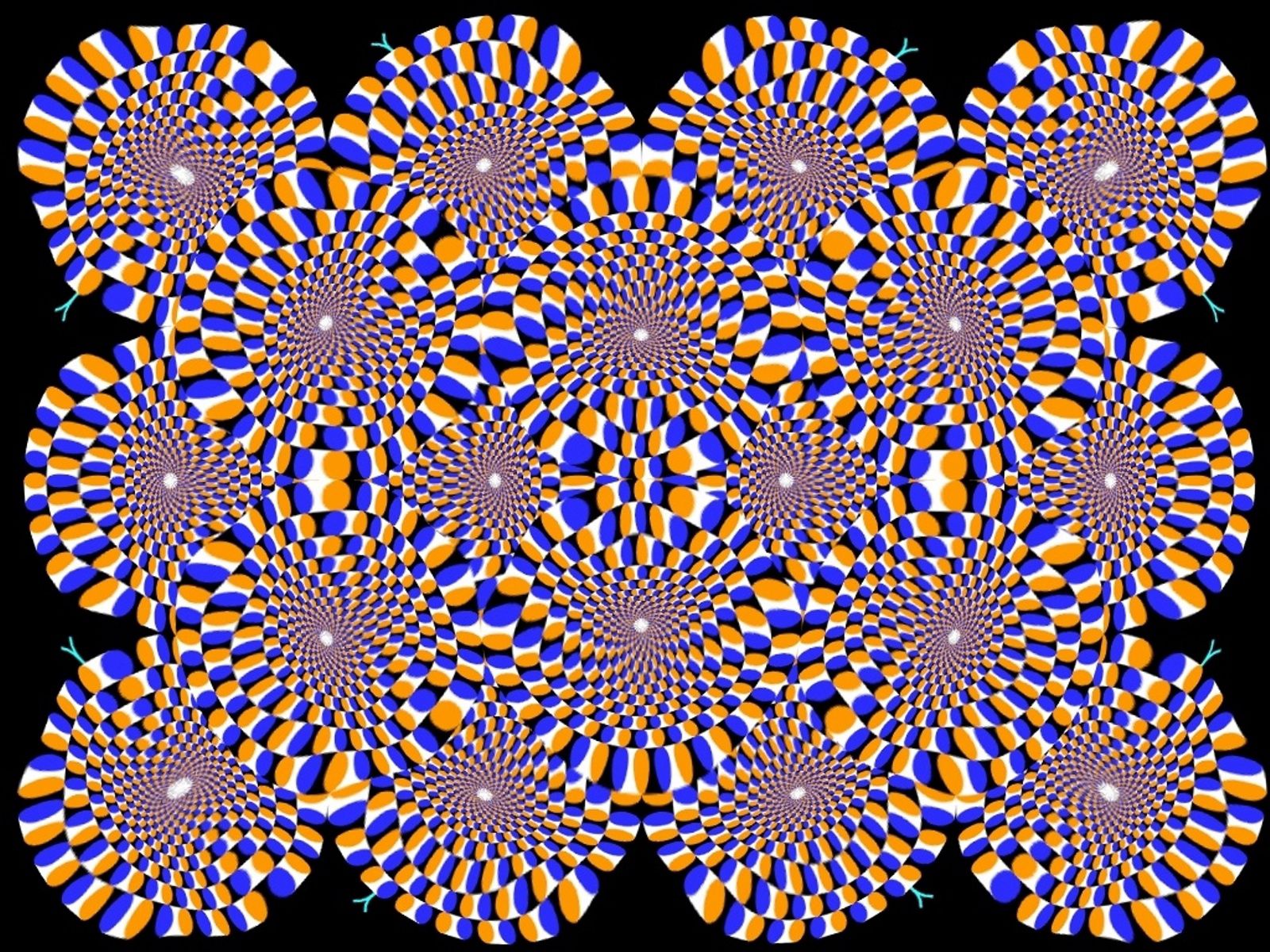 optical illusion, abstract, circles, rotation, immersion Full HD